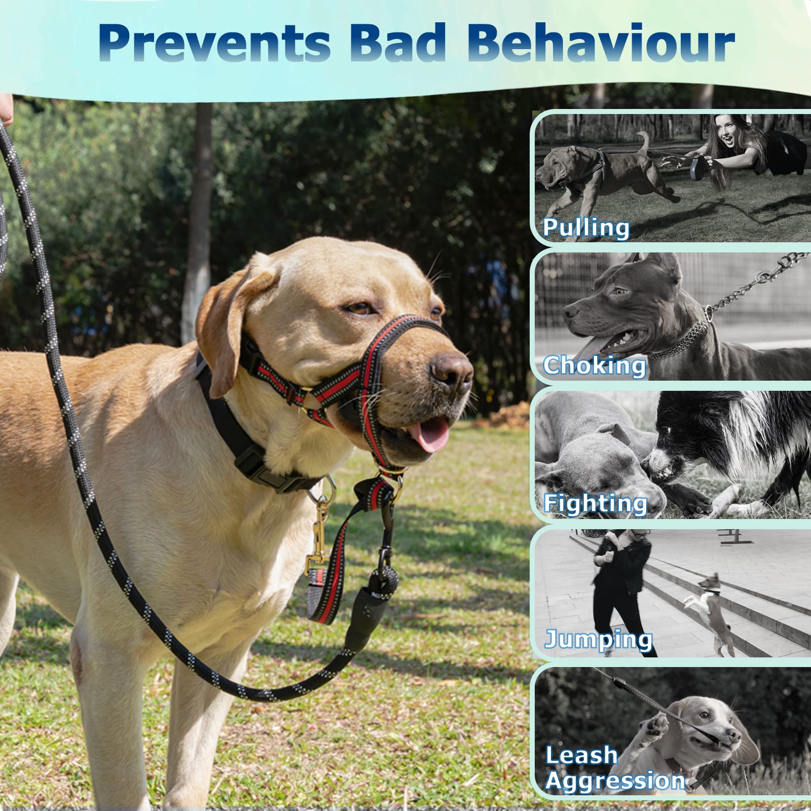 Barkless Muzzle Leash For Heavy Pullers, No Pull Stylish Head Halter For Small And Medium Aggressive Dogs, Gentle Dog Face Harne