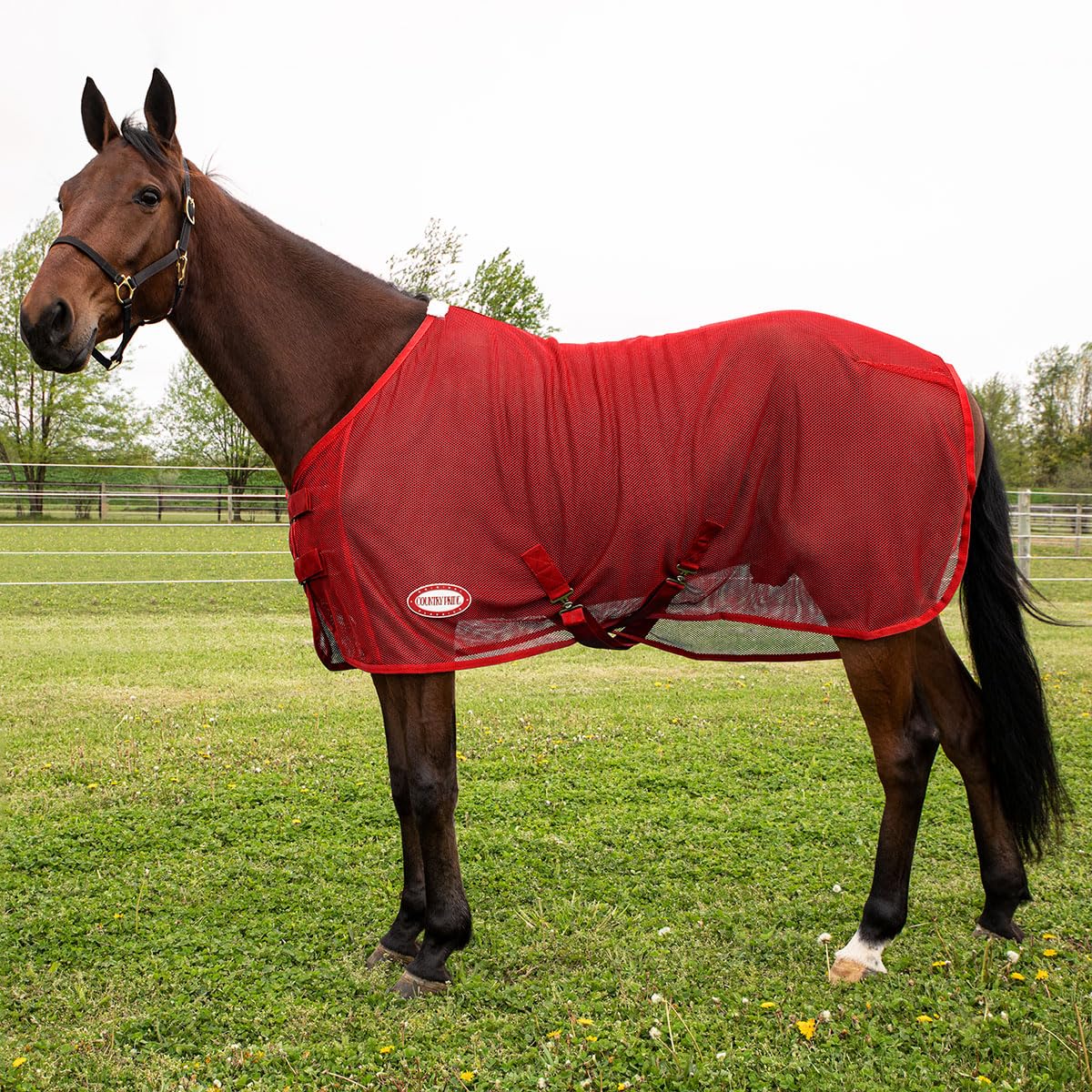 Country Pride Fitted Scrim Fly Sheet (Red, Small 70-72'')