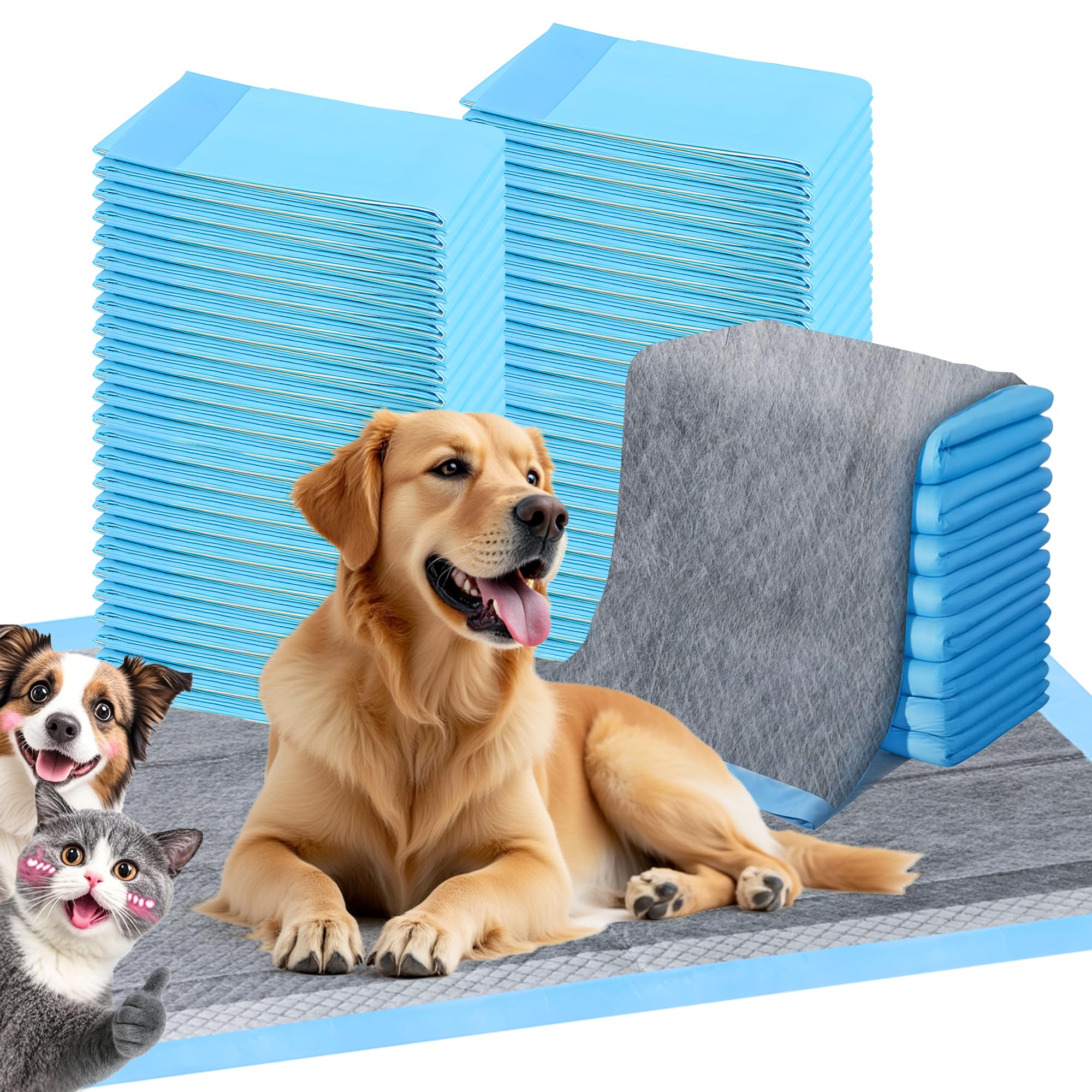 FluffyDream Ultra Charcoal Dog Training Pads with Leak-Proof Quick-Dry Urine Odor Design for Potty Training,22X22(100PCS) Improv