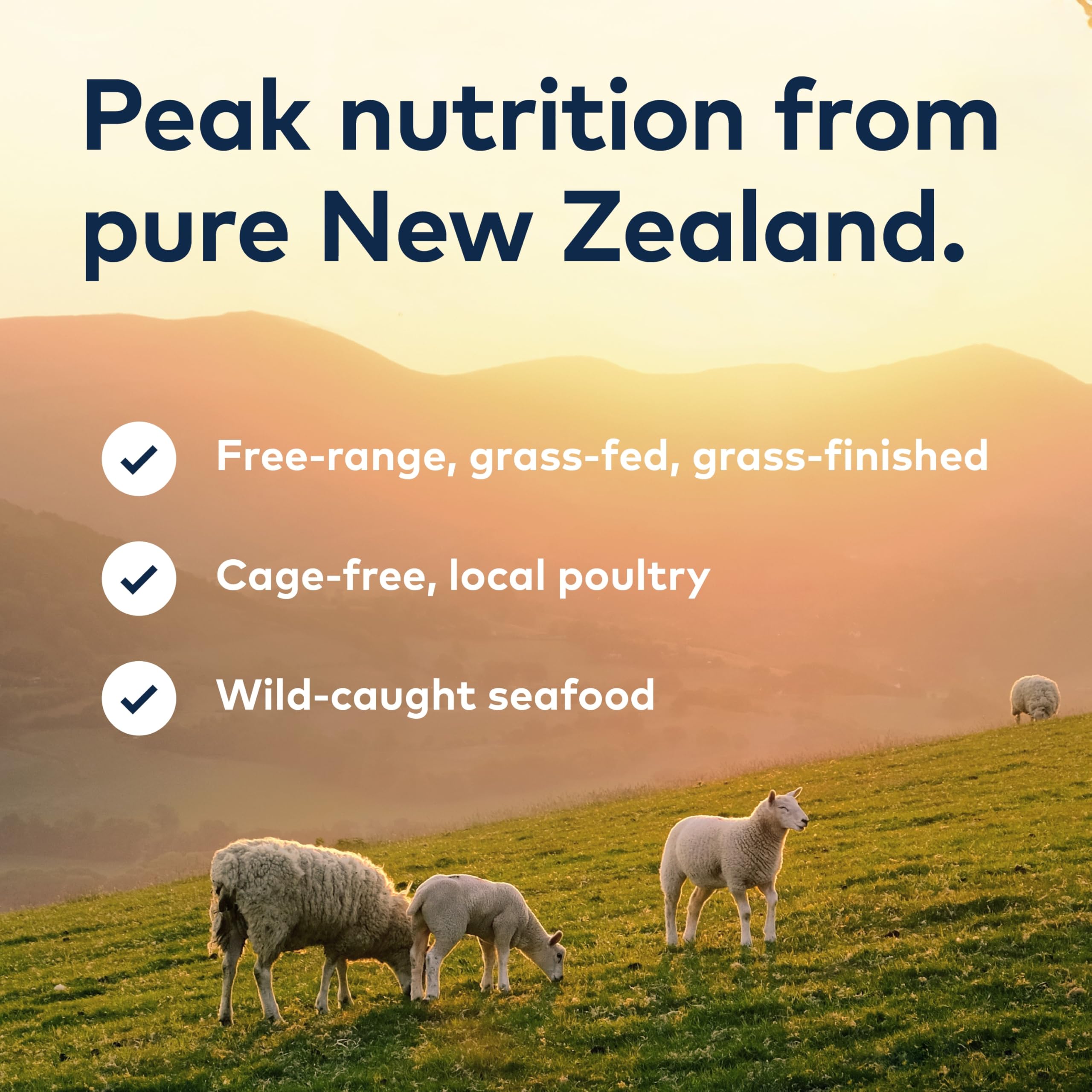 ZIWI Peak Canned Wet Cat Food - All Natural, High Protein, Grain Free, Limited Ingredient, with Superfoods (Mackerel, Case of 6,