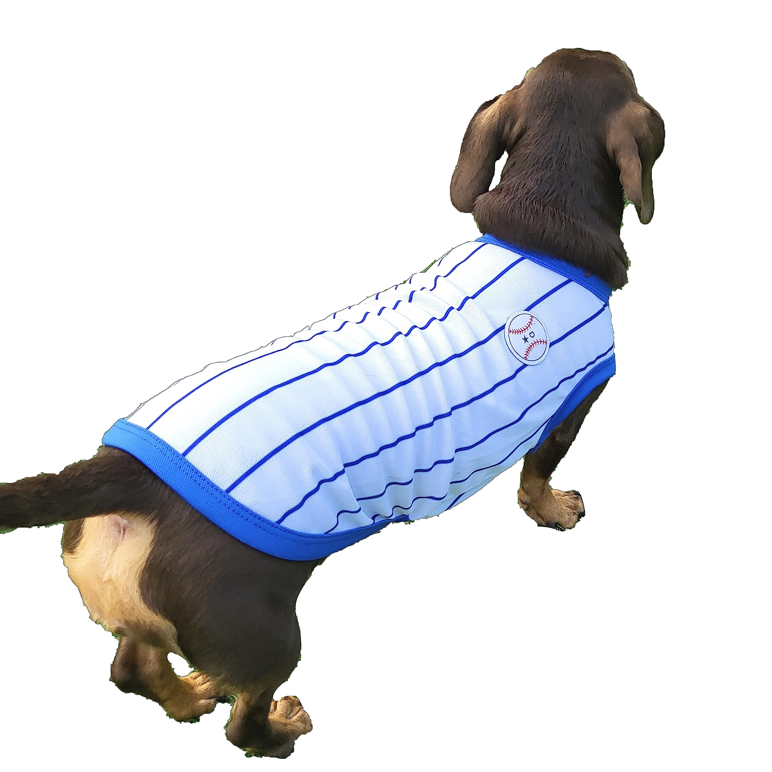 D Doggy Star Dachshund Clothes For Dogs Baseball Mini And Adults T Shirts (M,Baseball Blue)
