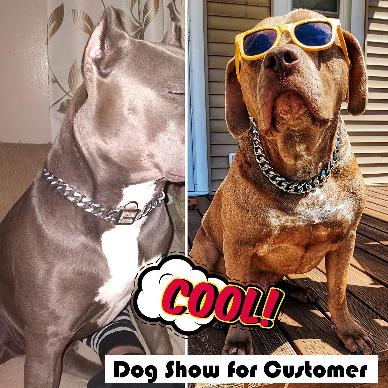 PRADOG Dog Collar with Zirconia Locking 19MM Hand Polished Stainless Steel Metal Puppy Collar Luxury Dog Bling Necklace Small Me