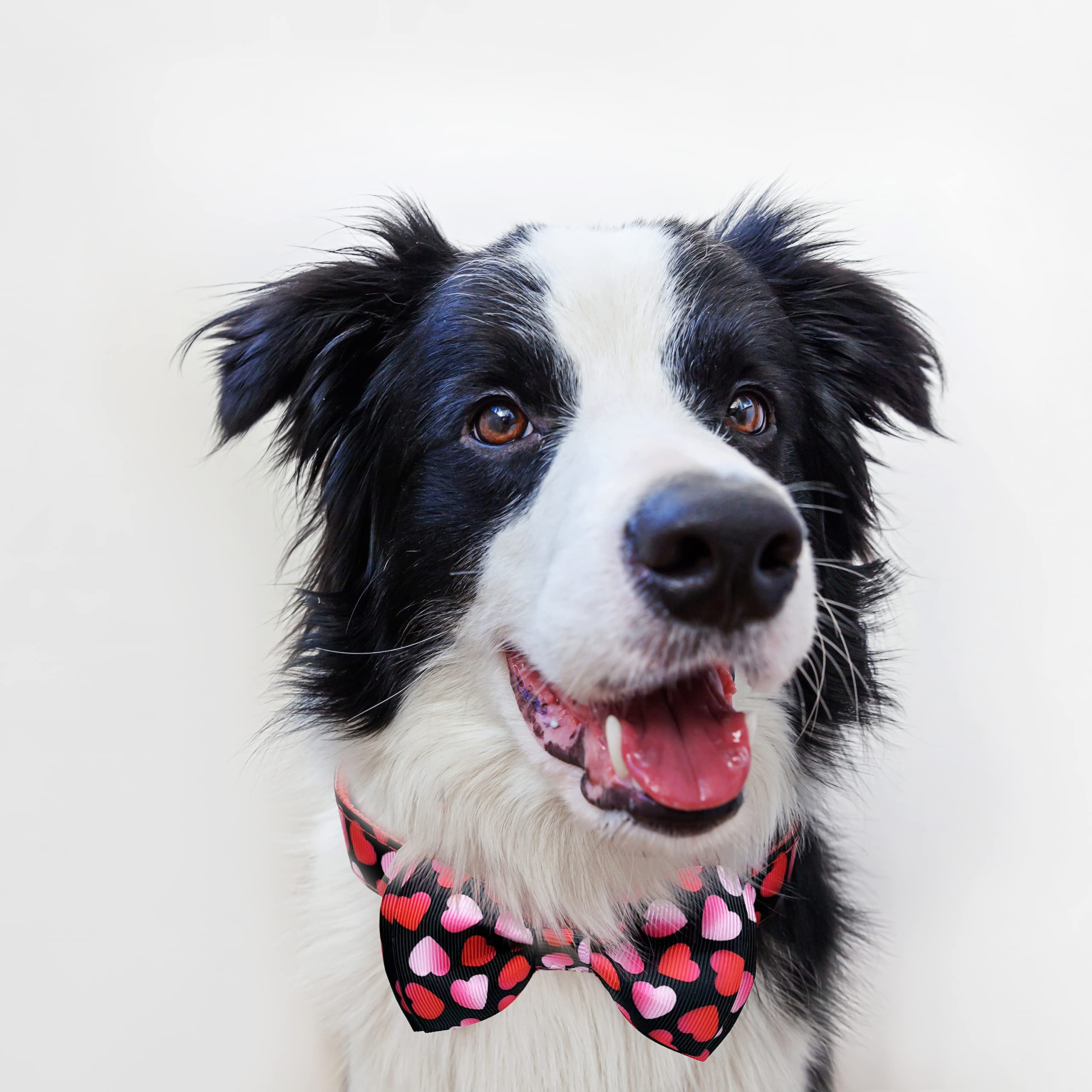 2 Pack Valentine Holiday Dog Bow Tie Collar,Heart Dog Collar For Large Medium Small Pets Puppies (Large)