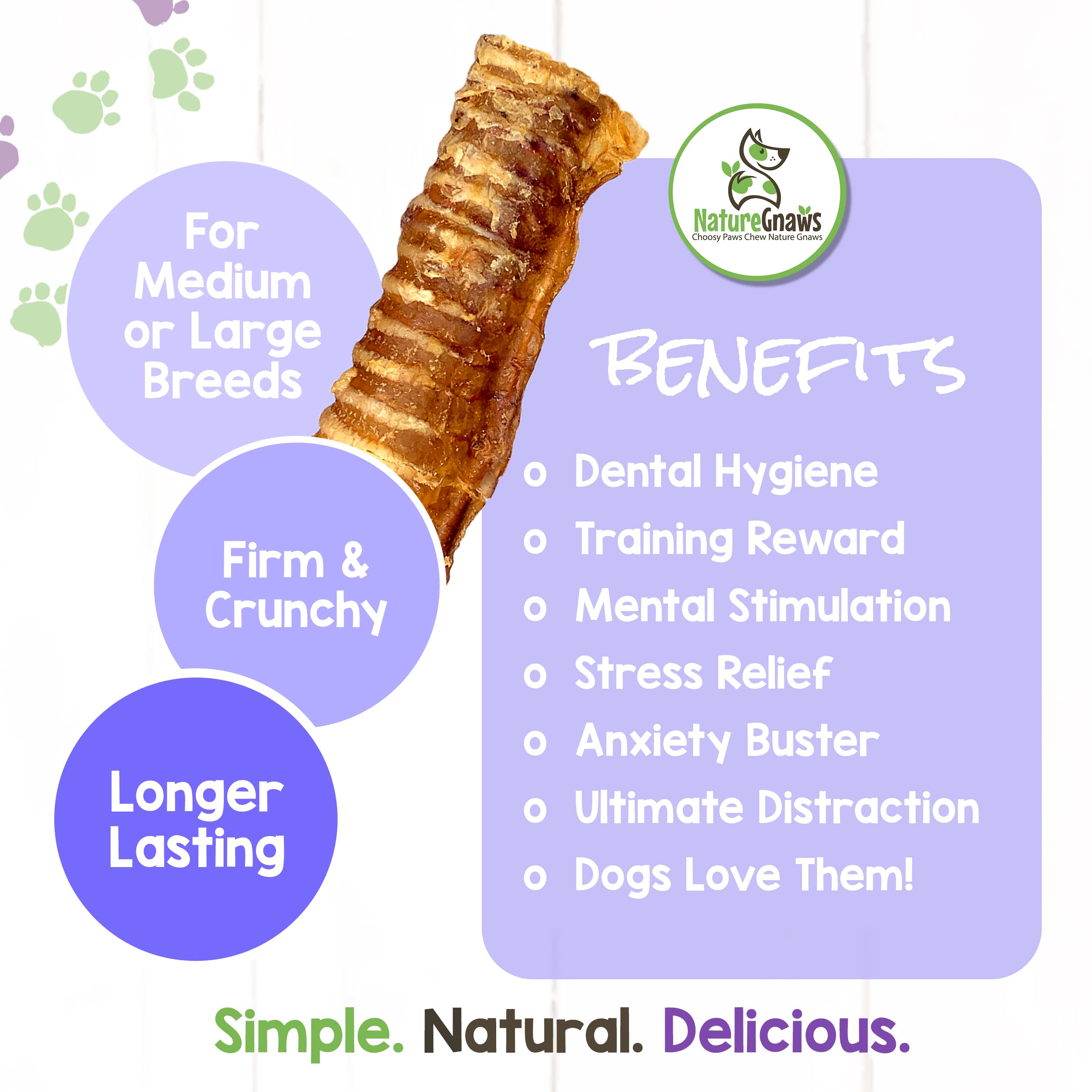 Nature Gnaws Beef Trachea Chews for Dogs 6 (6 Count) - Long Lasting Natural Crunchy Dog Chew Bones - Rawhide Free