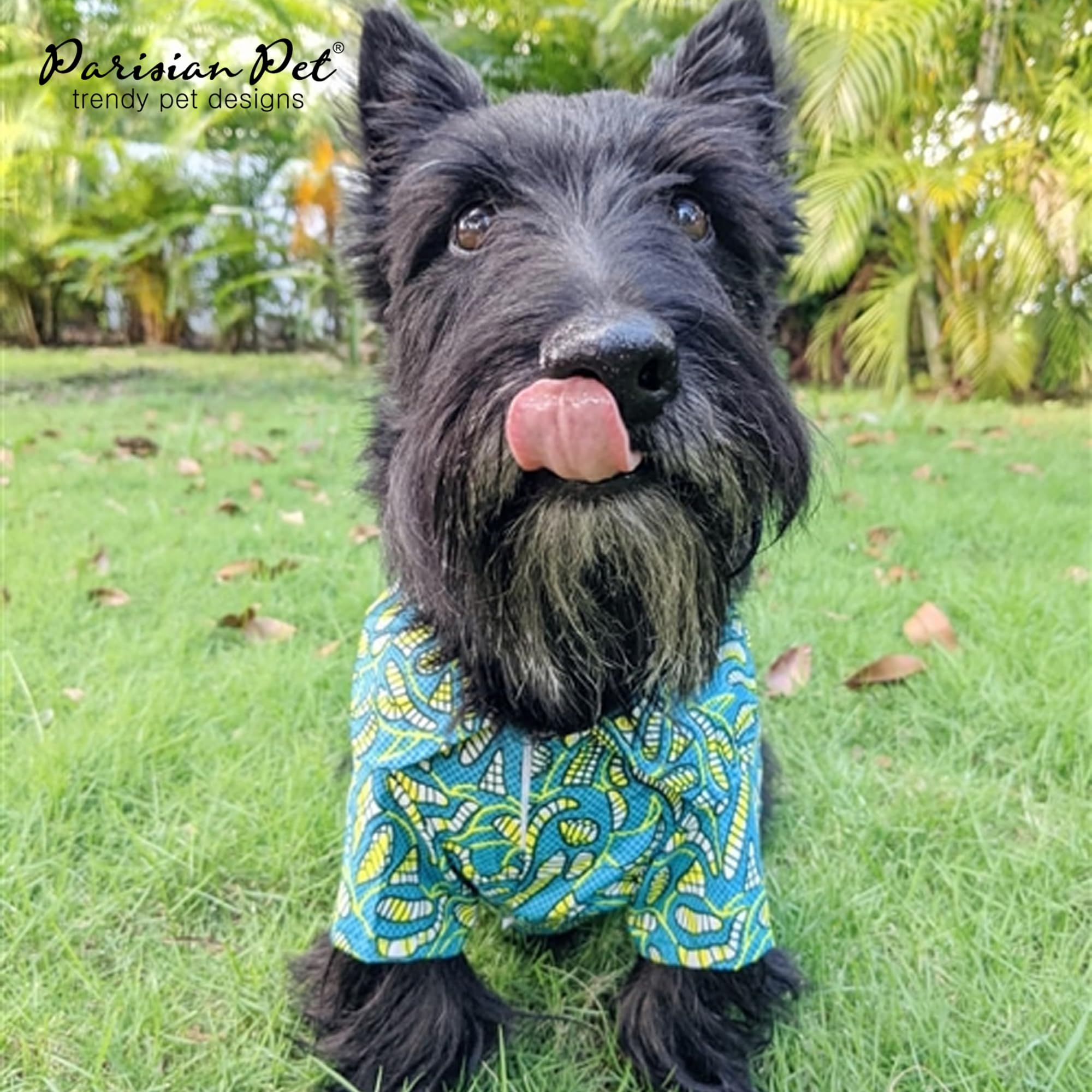 Parisian Pet Shirt - Tribal Camp Beach Outfit - 100% Cotton Summer Clothes - Stylish Dog Costume - Breathable And Cool Pet Cloth