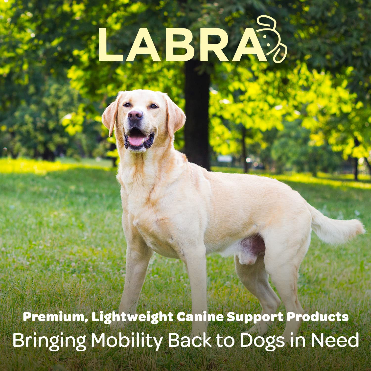 Labra Dog Truck Bed Leash Tether Tie Down System - Canine Leash For Truck Or Car Outdoor Bed, Out Leash, No Chain, Comfortable Pickup Bed Leash