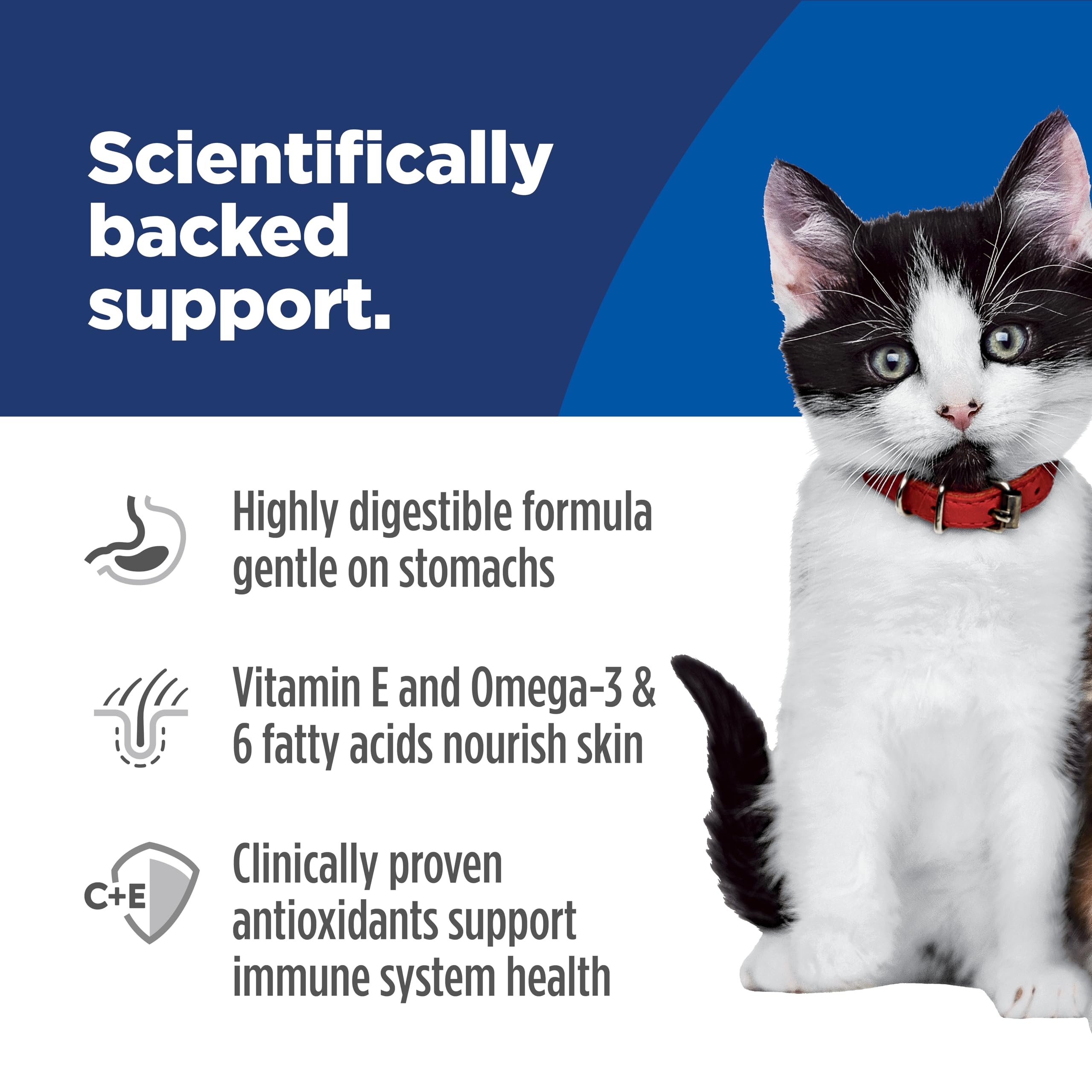 Hills Science Diet Sensitive Stomach & Skin, Kitten, Stomach & Skin Sensitivity Support, Wet Cat Food, Salmon & Vegetables Stew