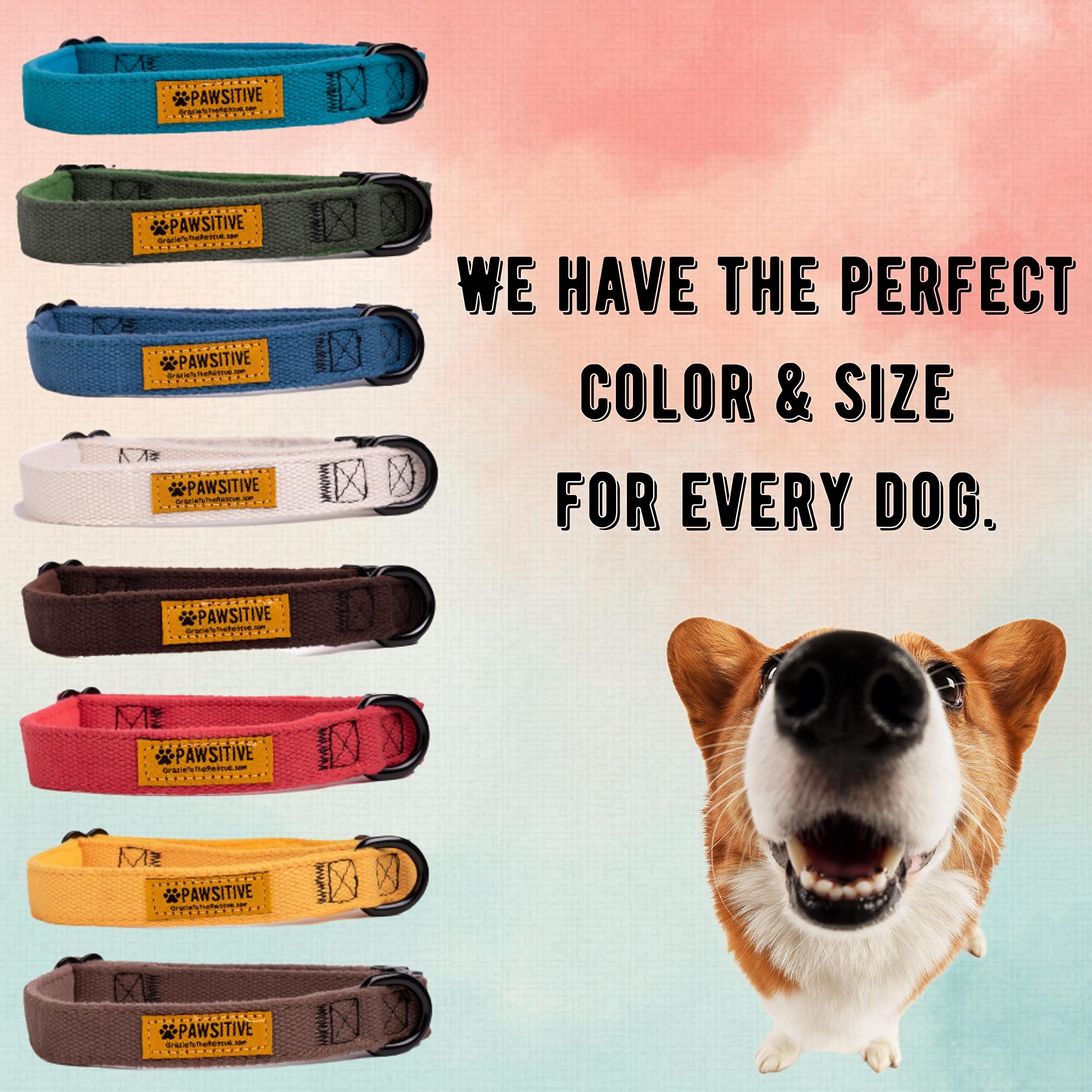Pawsitive Hemp Dog Collar - Super Soft Hypoallergenic Lining. Great For Small, Medium And Large Dogs; Large Rosemary Red