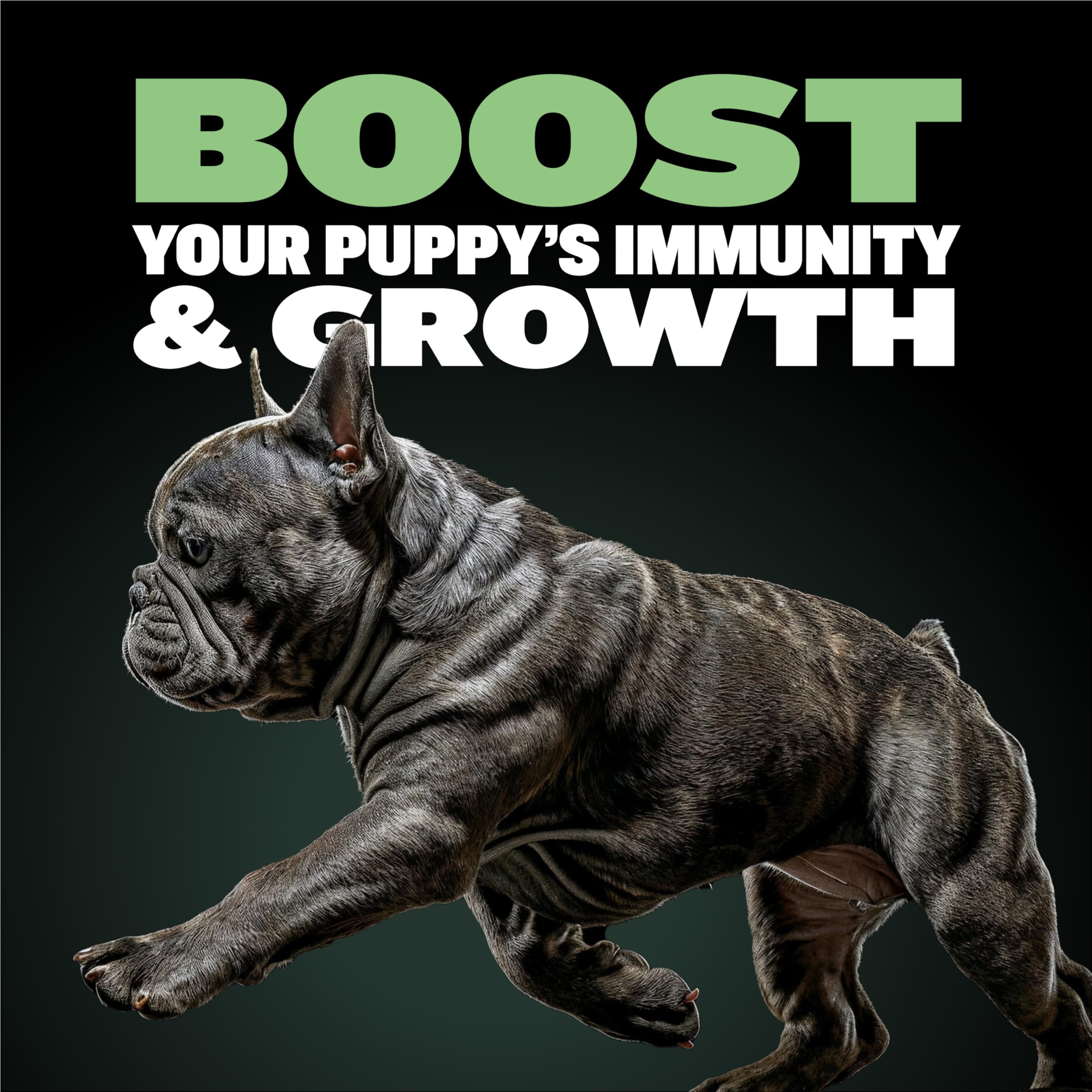 Bully Max Puppy Food 24/14 High Protein & Growth Formula - Dry Dog Food with Lamb and Rice for Small Dogs and Large Breed Puppie