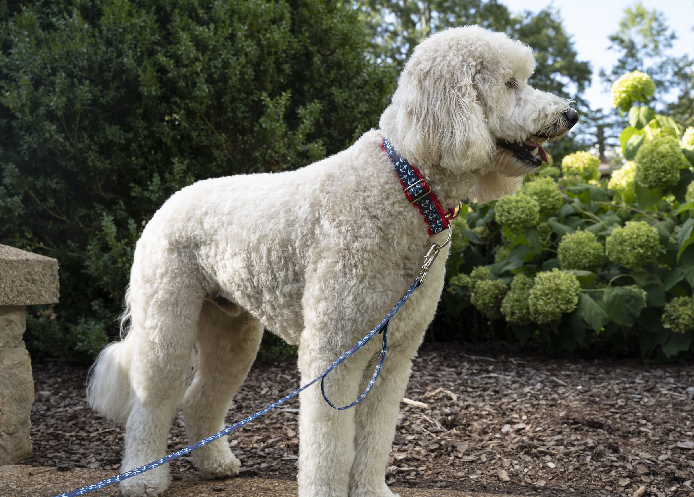 Country Brook Petz - Anchors Away Signature Martingale Dog Collar - Each Collar You Buy, A Collar Is Donated To A Shelter (1 Inc