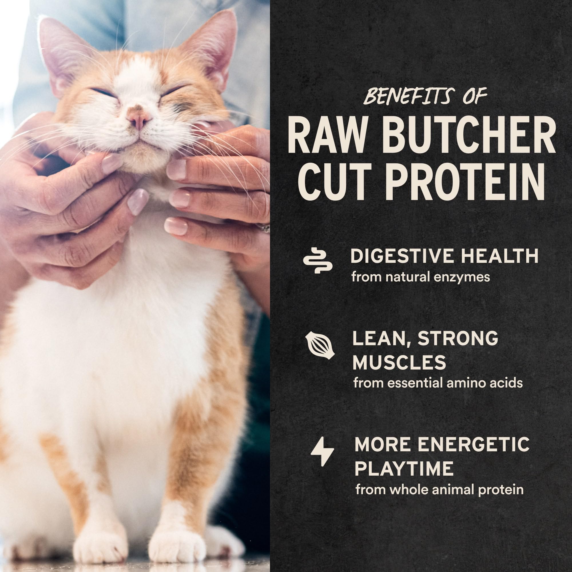 Vital Essentials Minnows Cat Treats, 1 oz | Freeze-Dried Raw | Single Ingredient | Grain Free, Gluten Free, Filler Free
