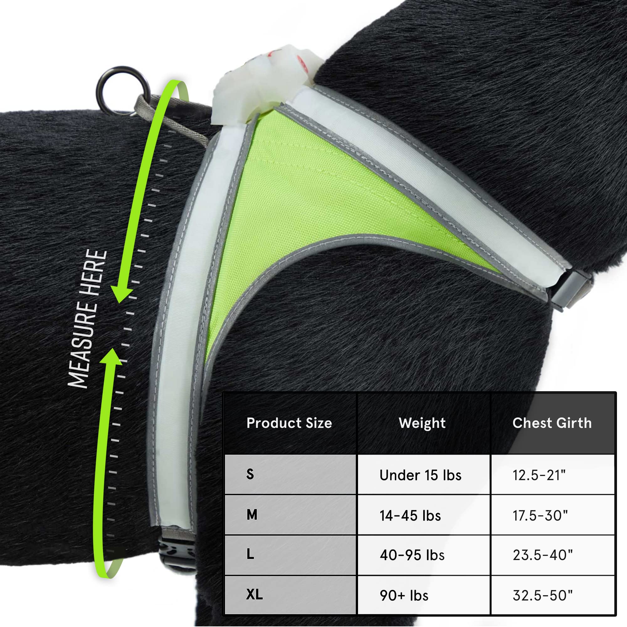 Noxgear LightHound (Large) + High-Visibility Dog Leash - Illuminated and Reflective Harness for Dogs Including Multicolored LED