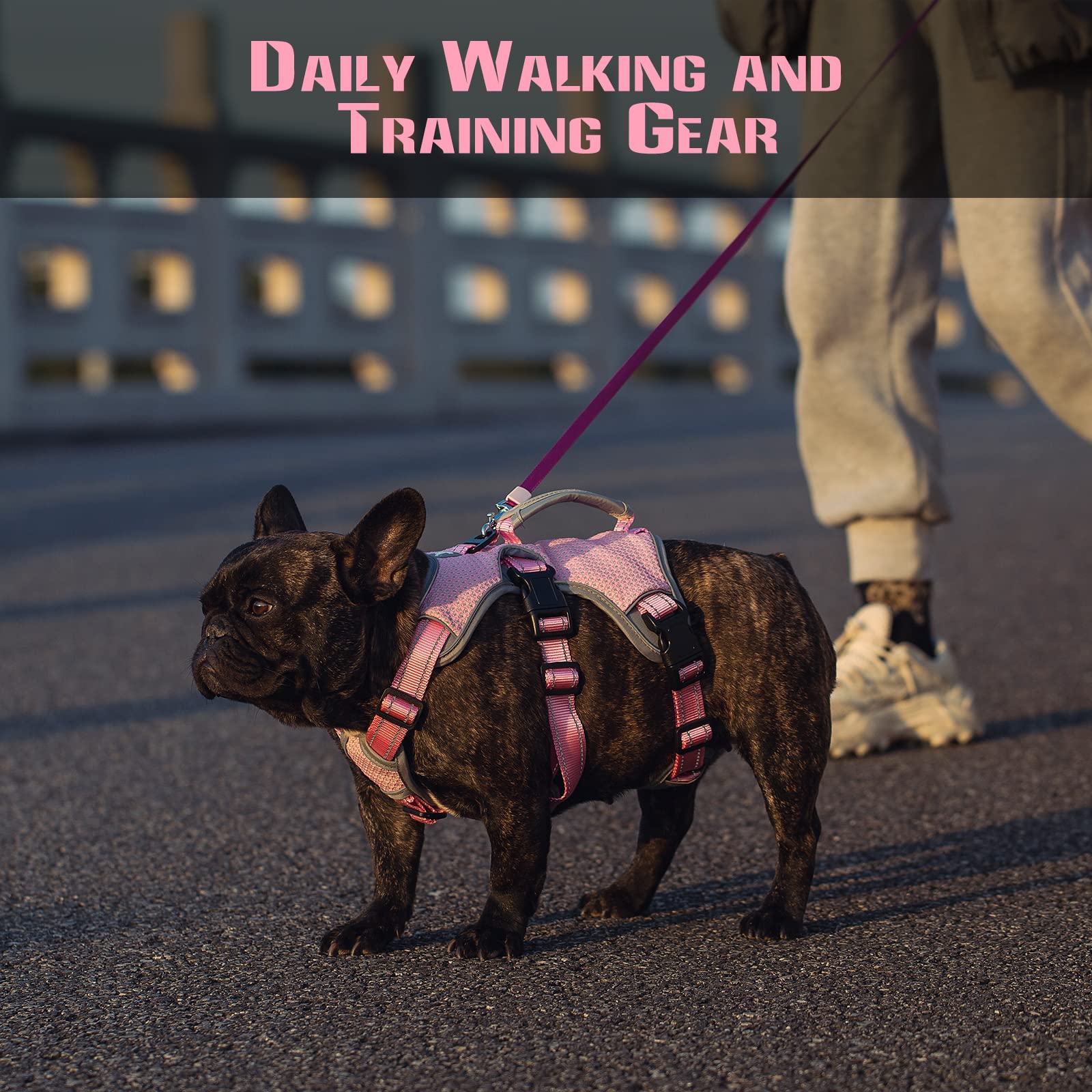 Escape Proof Dog Harness, Escape Artist Harness, Fully Reflective Harness With Padded Handle, Breathable,Durable, Adjustable Vest For Small Dogs Walking, Training, And Running Gear Pink (Small)