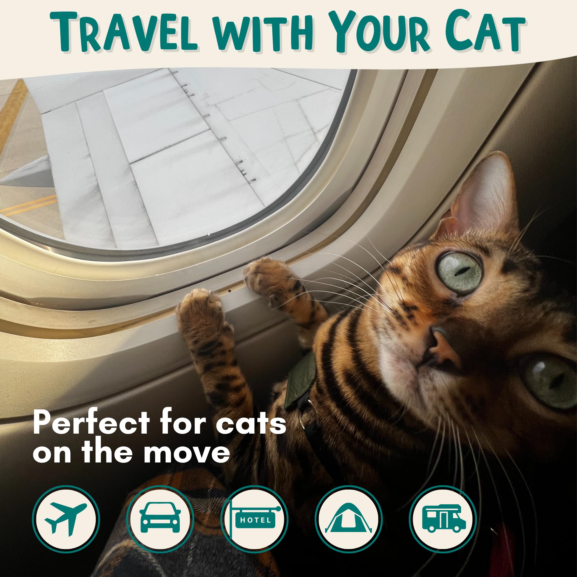 Travel Litter Box For Cats (Small) By Outdoorbengal - Non-Stick, Waterproof, Portable, Collapsible, Mess-Free Pet Litterbox (Air