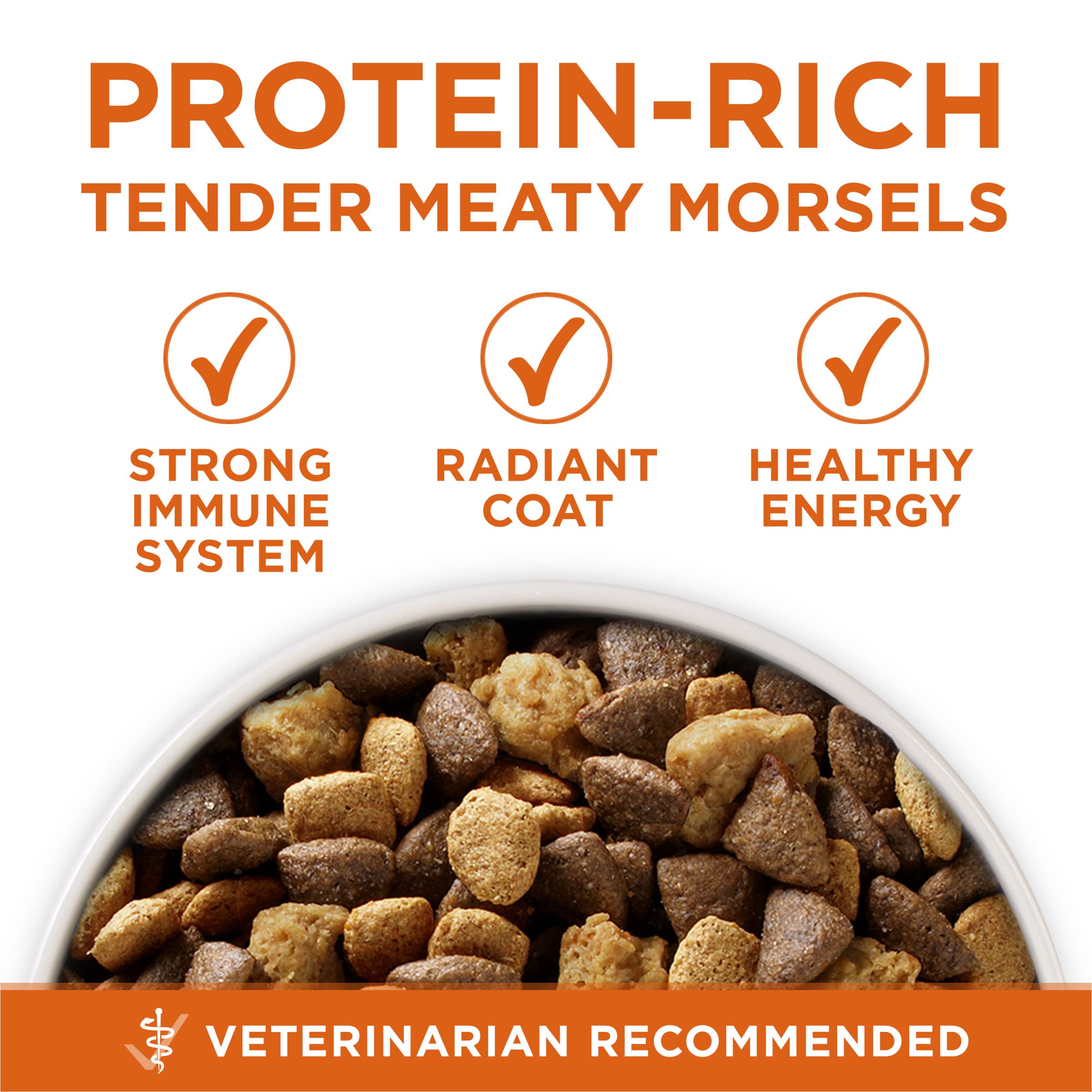 Purina ONE Plus Healthy Weight High-Protein Dog Food Dry Formula - 40 lb. Bag