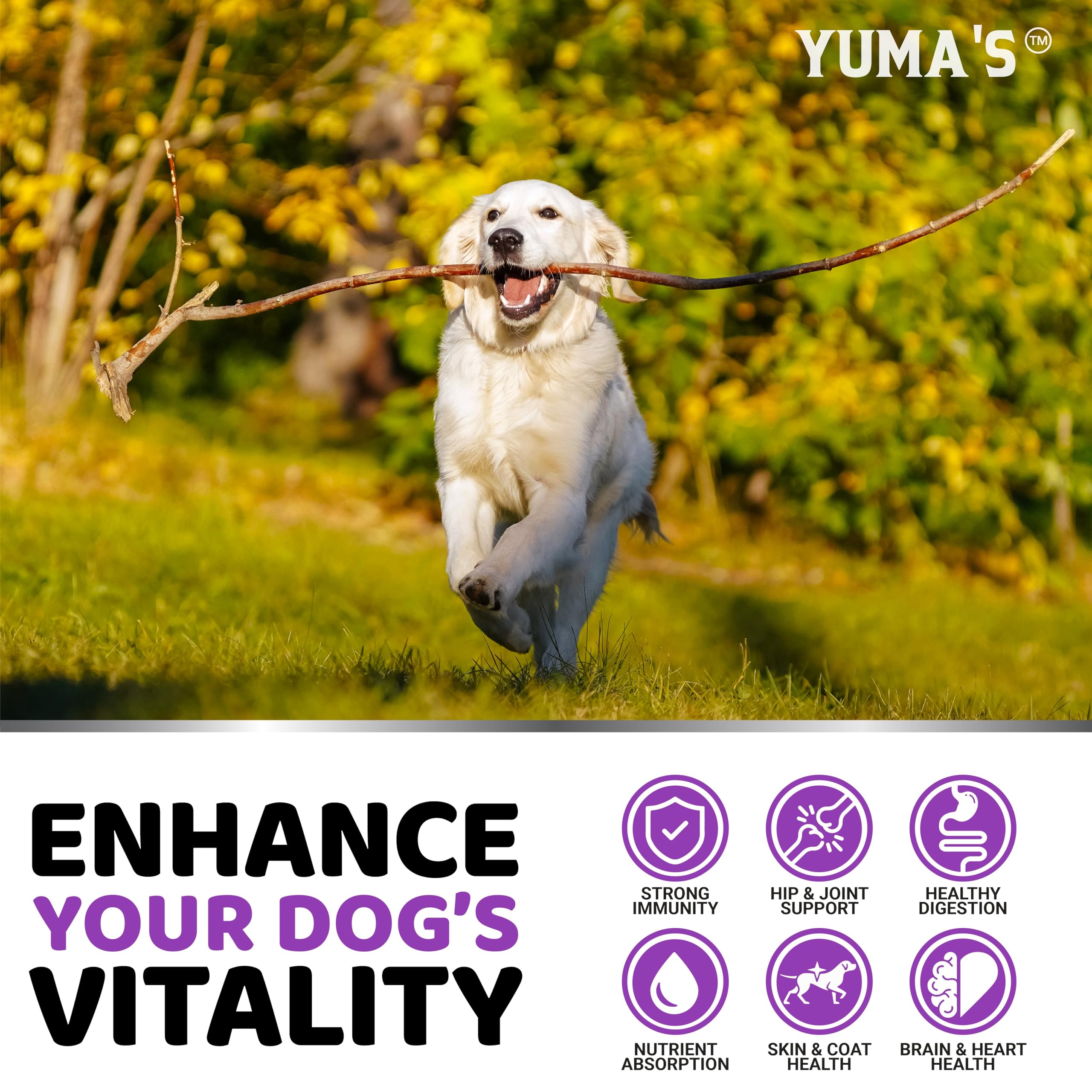 Dog Multivitamin Chewable with Glucosamine - Dog Vitamins and Supplements - 170 Treats - Senior & Puppy Multivitamin for Dogs -