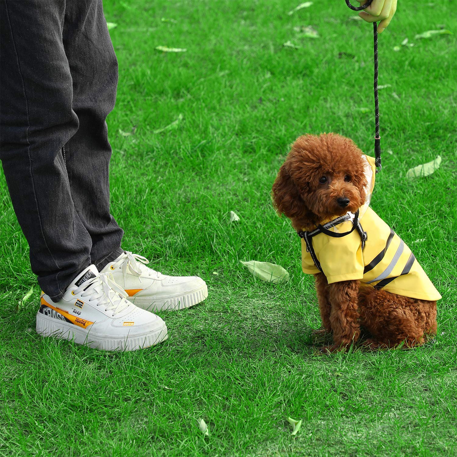 Wizland Reflective Dog Raincoat Dog Rain Jacket With Hood Lightweight Waterproof Rain Coat For Puppies (Yellow S)