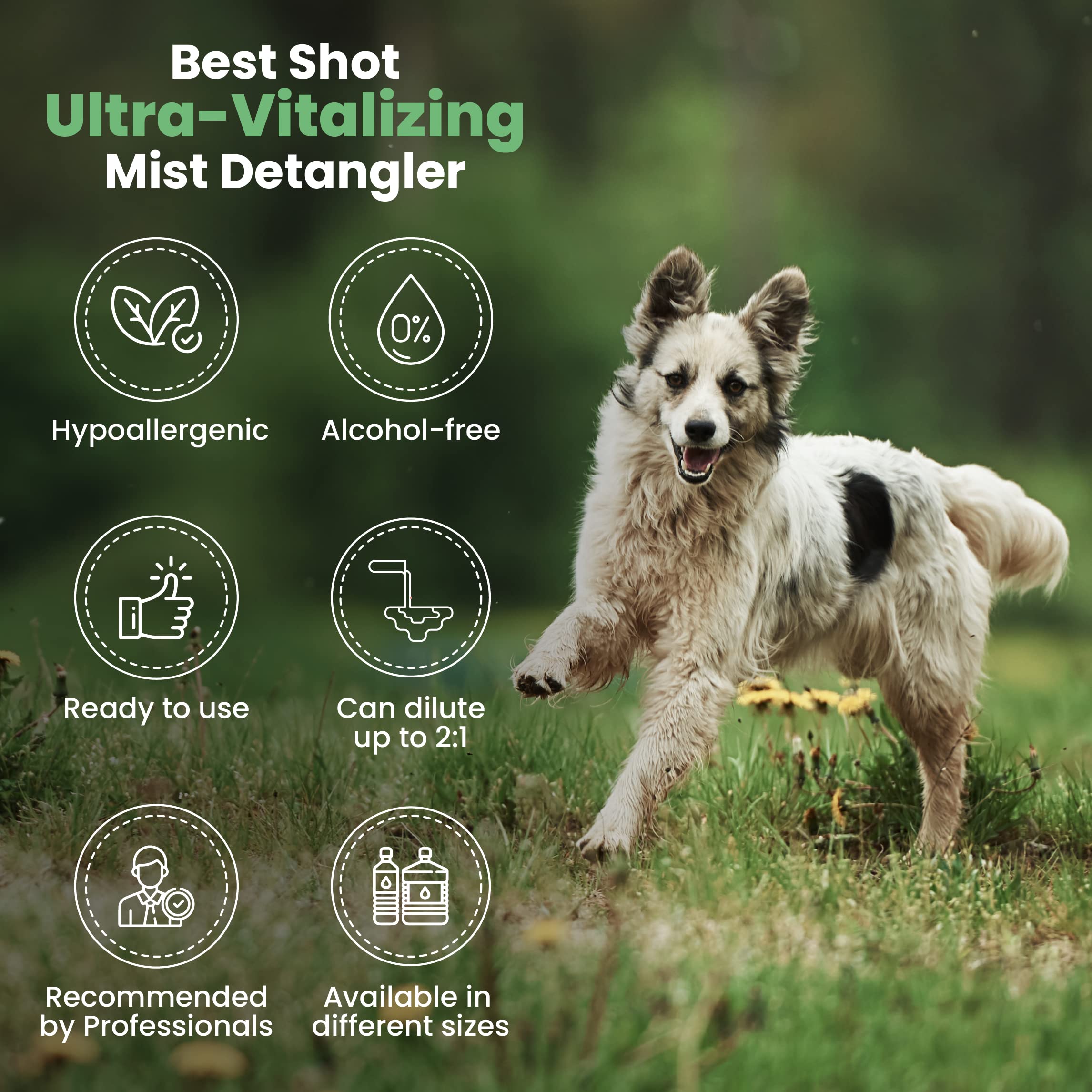 Best Shot Ultra Vitalizing Mist Detangler, 16 oz