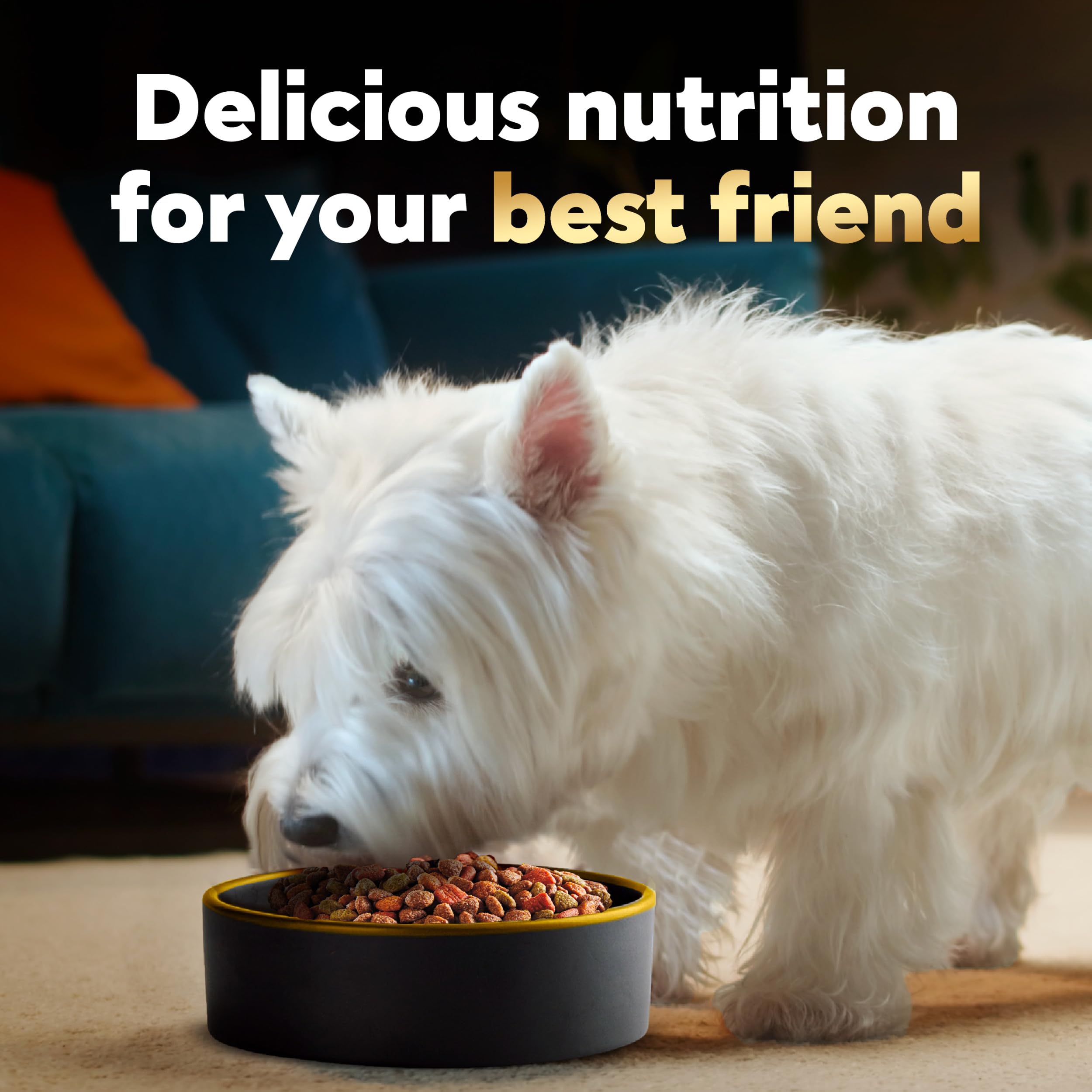 CESAR Small Breed Dry Dog Food Filet Mignon Flavor and Spring Vegetables Garnish, 12 lb. Bag