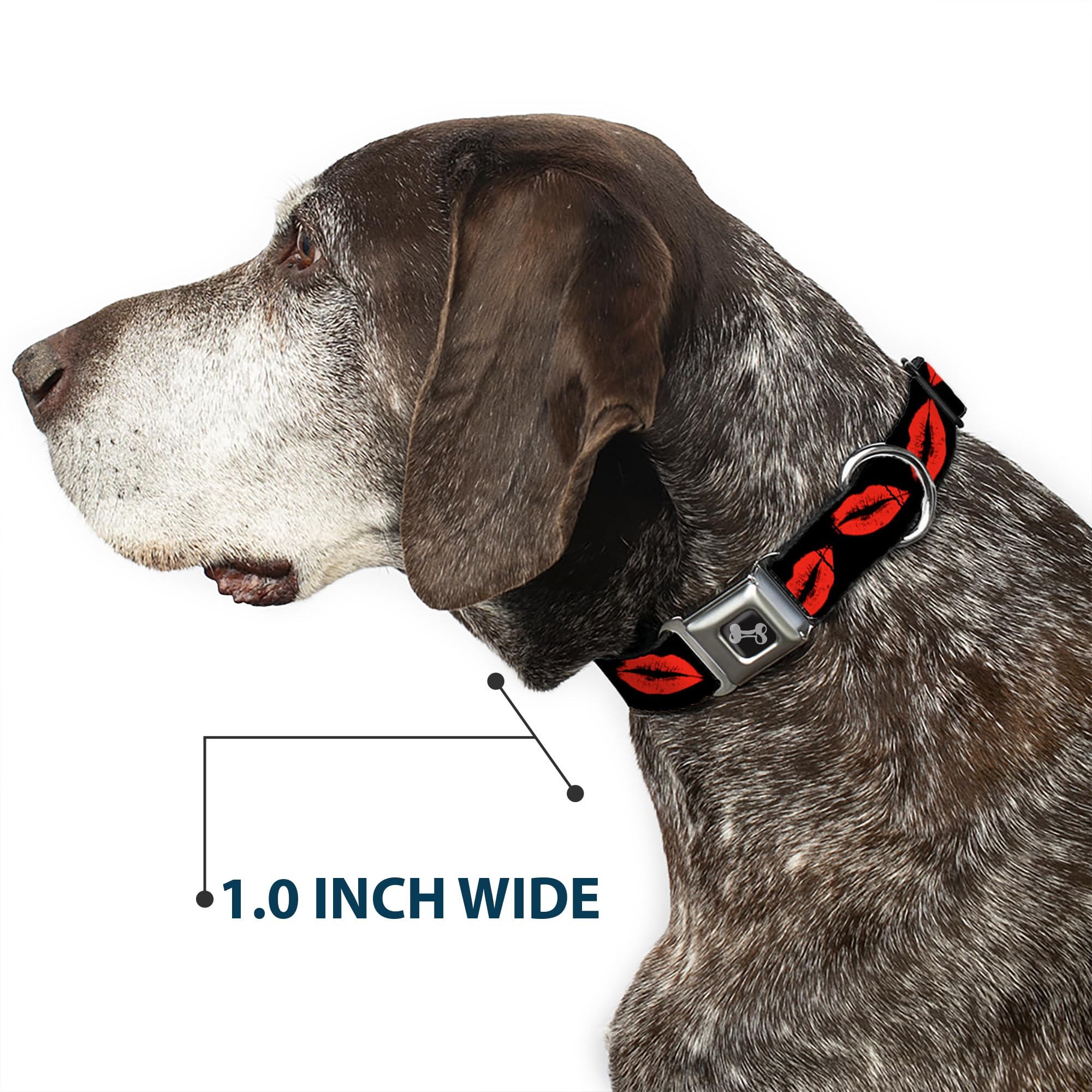 Buckle-Down Seatbelt Buckle Dog Collar - Kisses - 1.5 Wide - Fits 16-23 Neck - Medium
