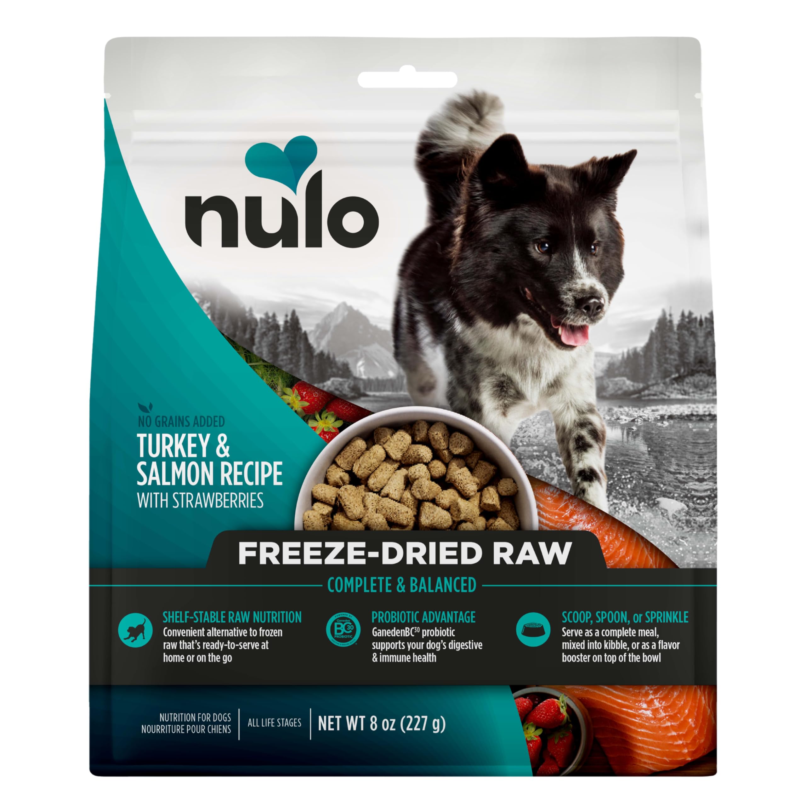 Nulo Freeze-Dried Raw Turkey & Salmon Recipe with Apples Complete and Balanced Dry Dog Food Kibble, 8 Ounce Bag