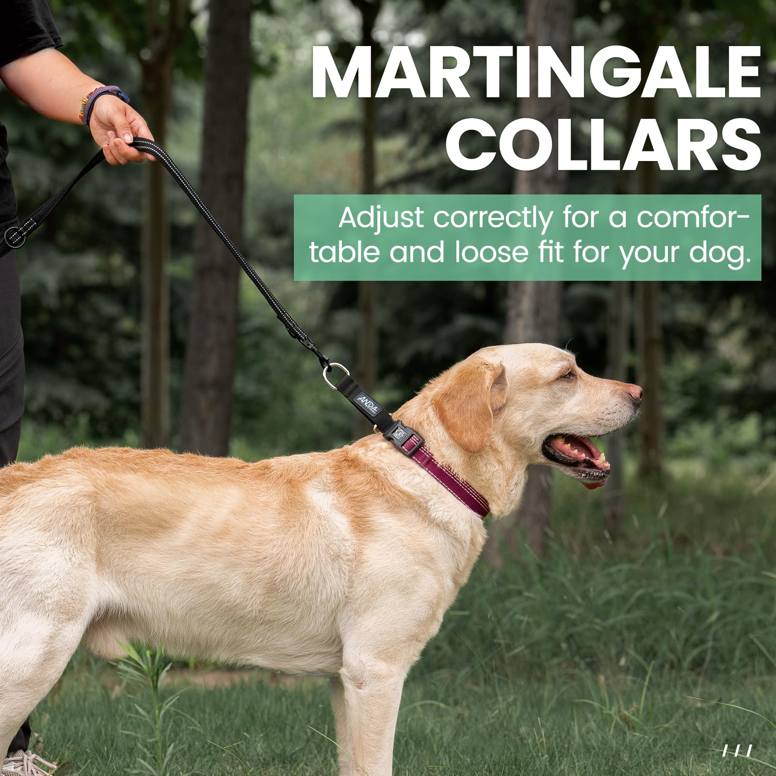 Anda Martingale Collar For Dogs, Double-Layered Composite Material With Buckle,No-Pull Training Collar For Easy Control With No