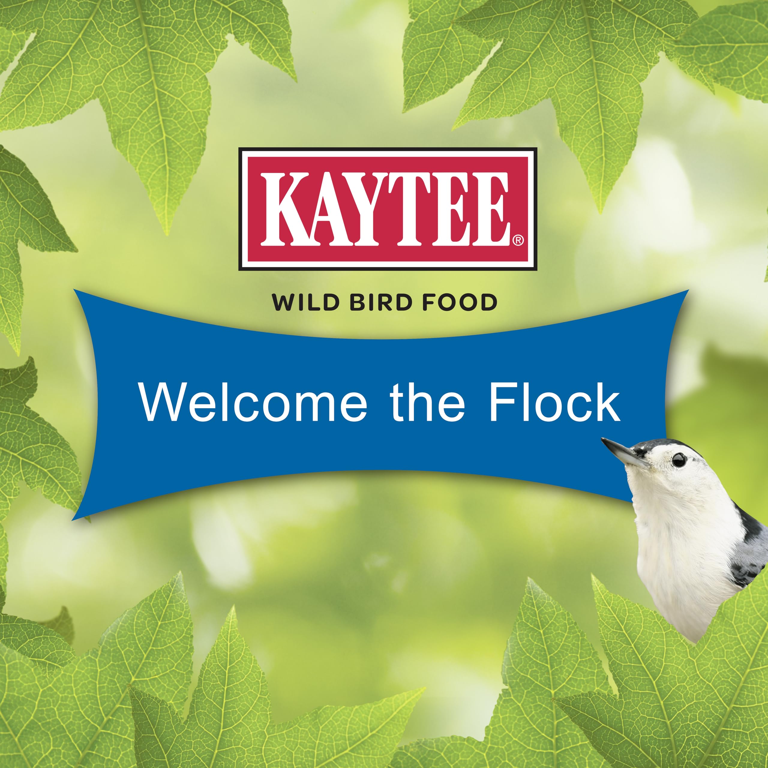 Kaytee Wild Bird Gourmet Seed Cake, 2 lbs, 4 Count - Ideal for Cardinals, Chickadees, Woodpeckers & More