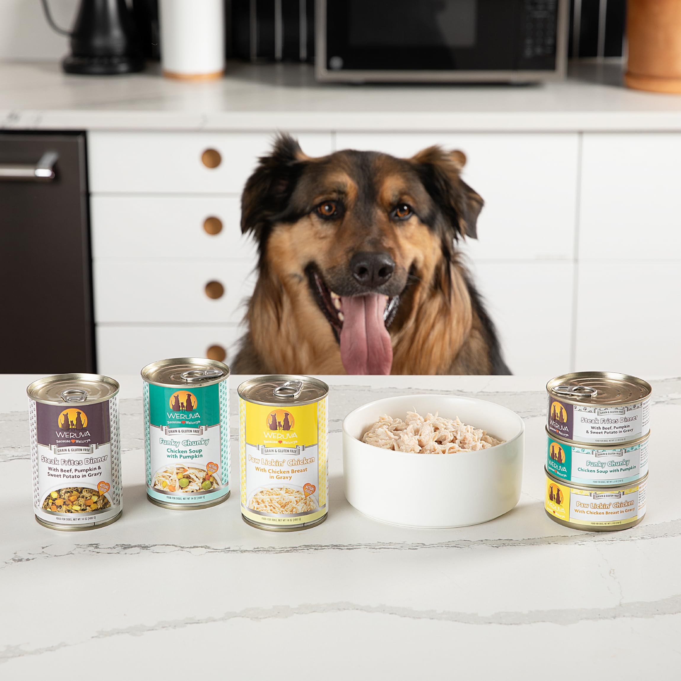 Weruva Classic Dog Food, Jammin Salmon with Chicken & Salmon in Gravy, 5.5oz Can (Pack of 24)