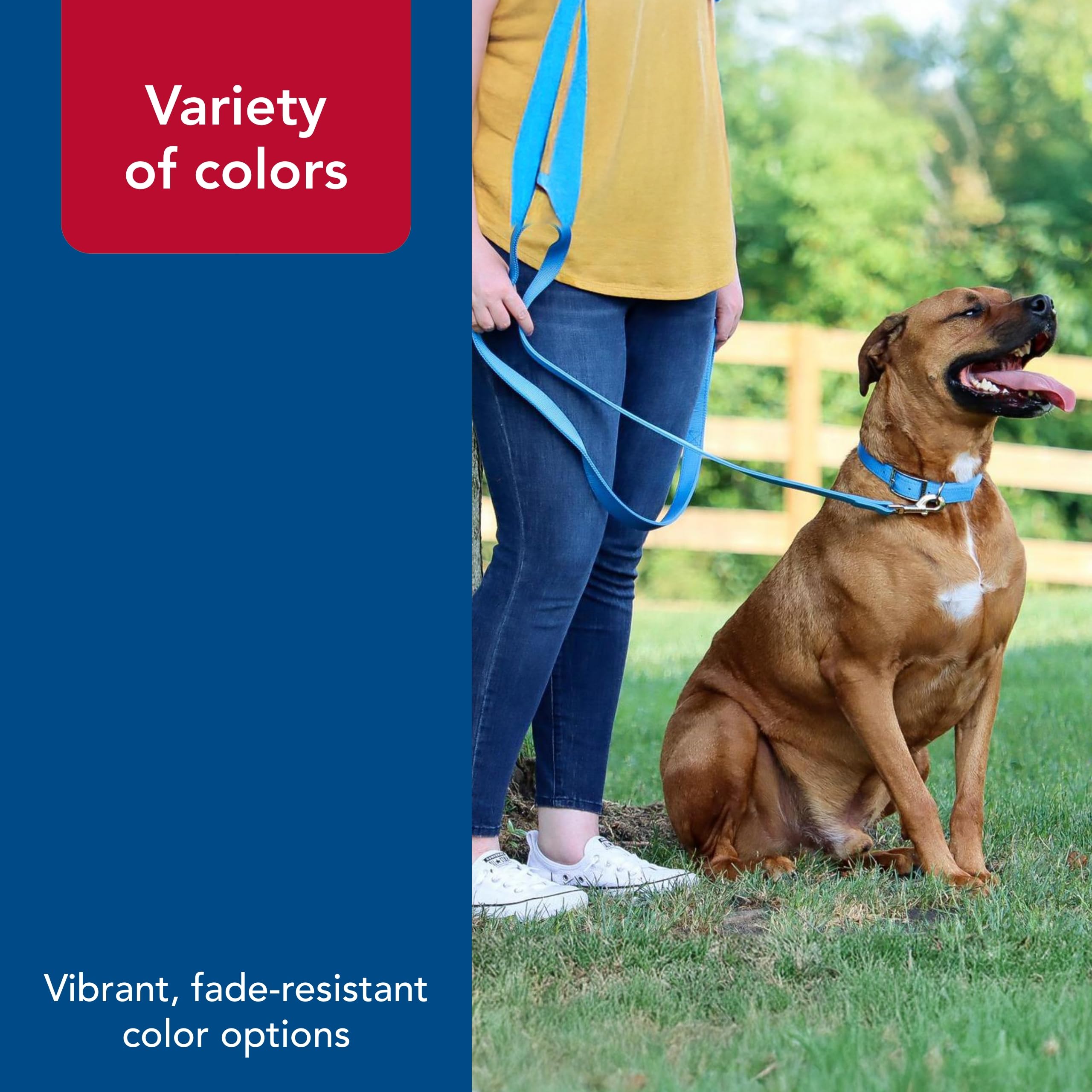 Coastal Pet Double-Ply Dog Leash - Bolt Snap Attachment to Collars and Harnesses - Nylon Dog Walking Leash for Small, Medium and