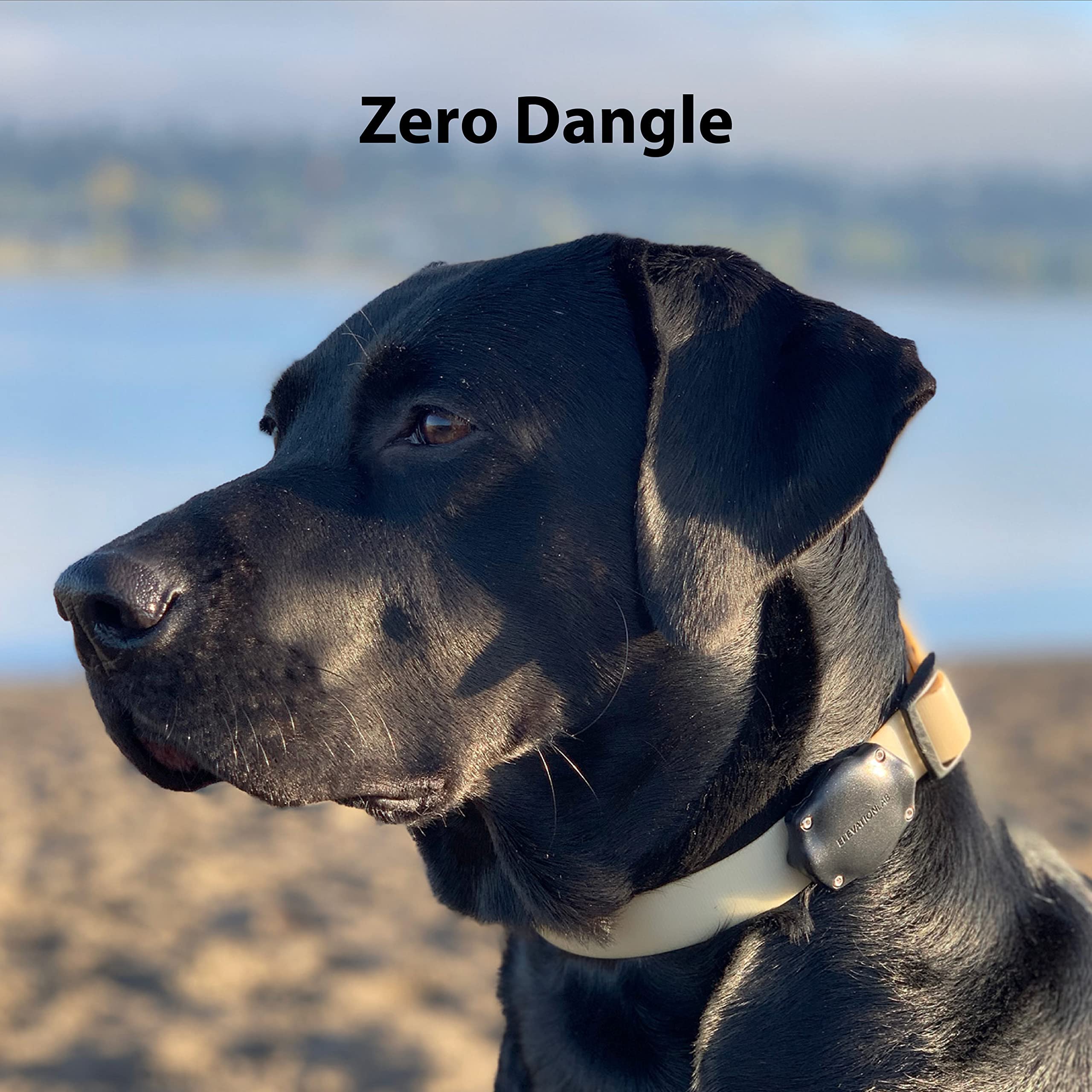 Tagvault Pet (4 Pack) - The Original Airtag Dog Collar Waterproof Mount | Ultra-Durable, Fits All Width Collars | Elevation Lab