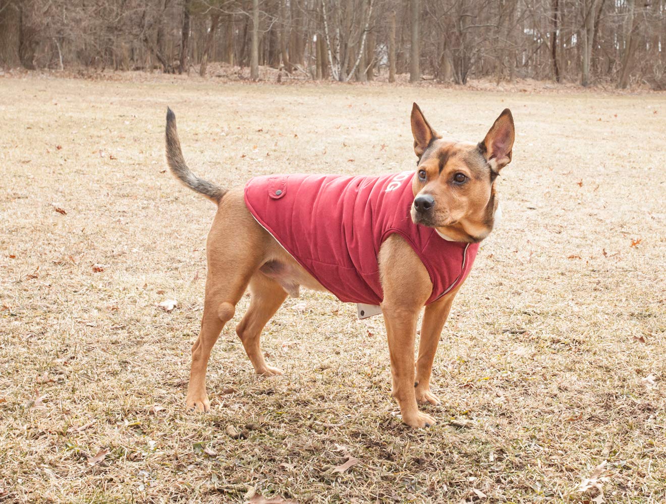 TOUCHDOG 'Waggin Swag' Fashion Designer Reversible 3M Insulated Pet Dog Coat Jacket, Small, Pink / White