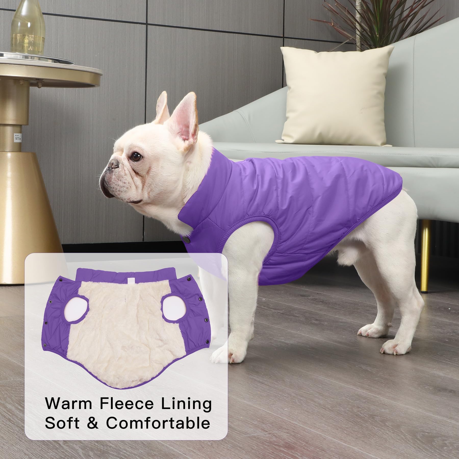 Joydaog 2 Layers Fleece Lined Warm Dog Jacket For Puppy Winter Cold Weather,Soft Windproof Small Dog Coat,Purple S