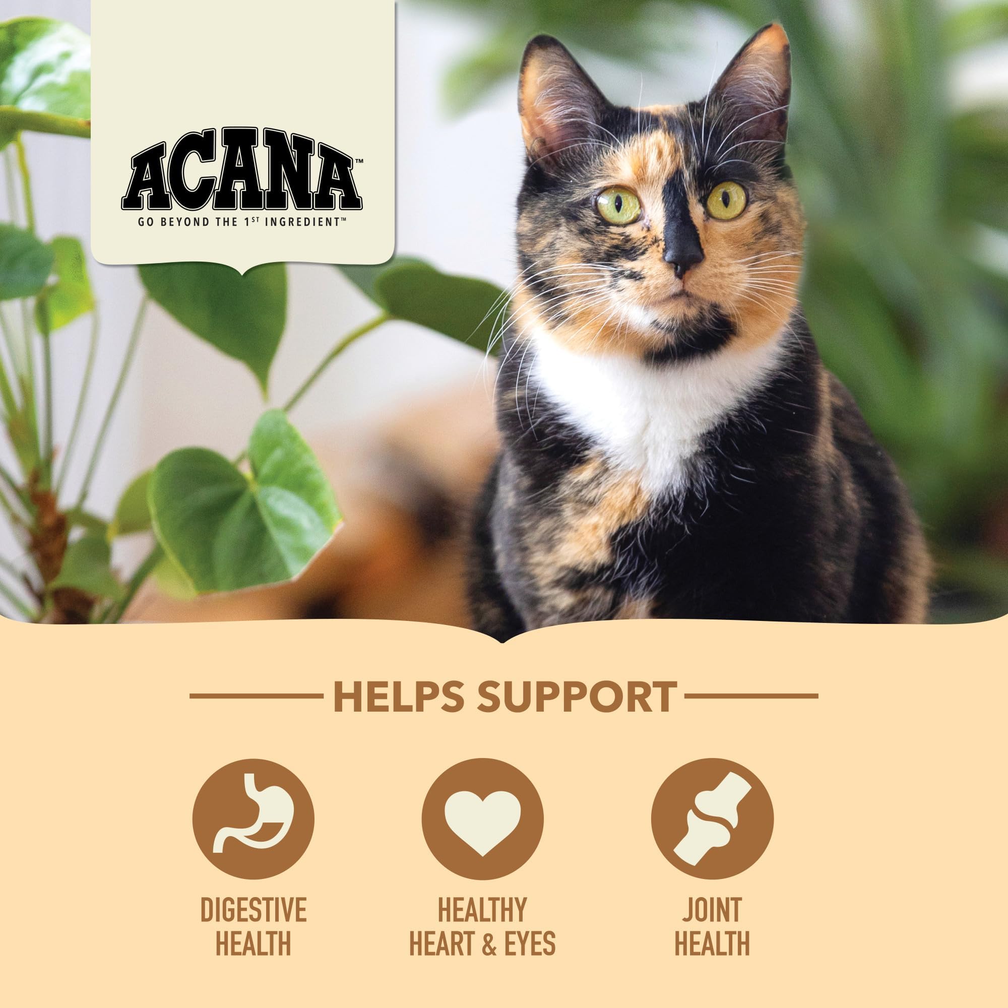 ACANA Senior Entree Dry Cat Food for Senior Cats (7+ Years), Free Run Chicken and Turkey Recipe, 10lb