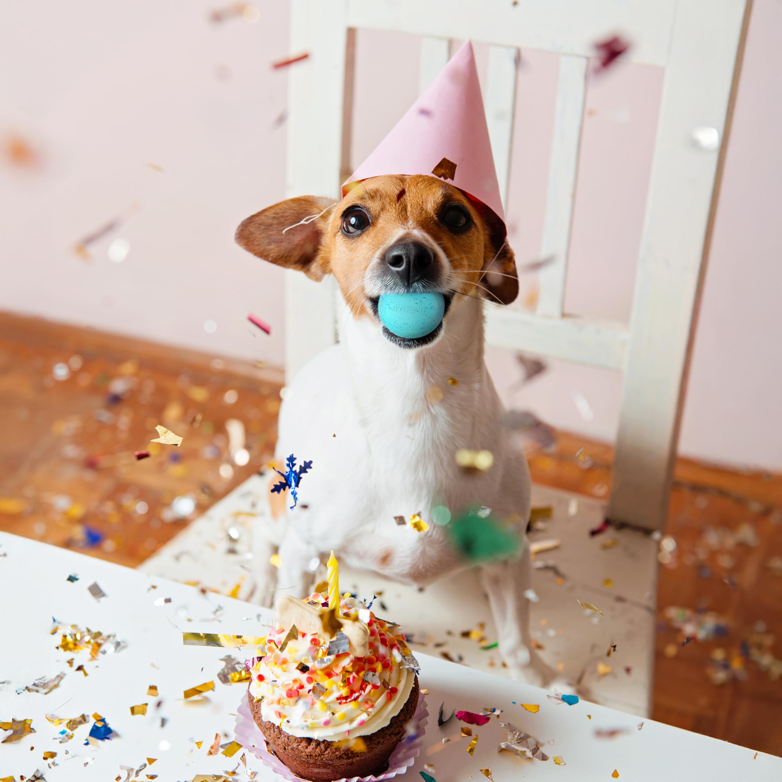 Playology Birthday Pack Dog Toys For Small Dogs | All-Natural Peanut Butter Birthday Cake Scented Gift Bundle | 2 Squeaky Chew B