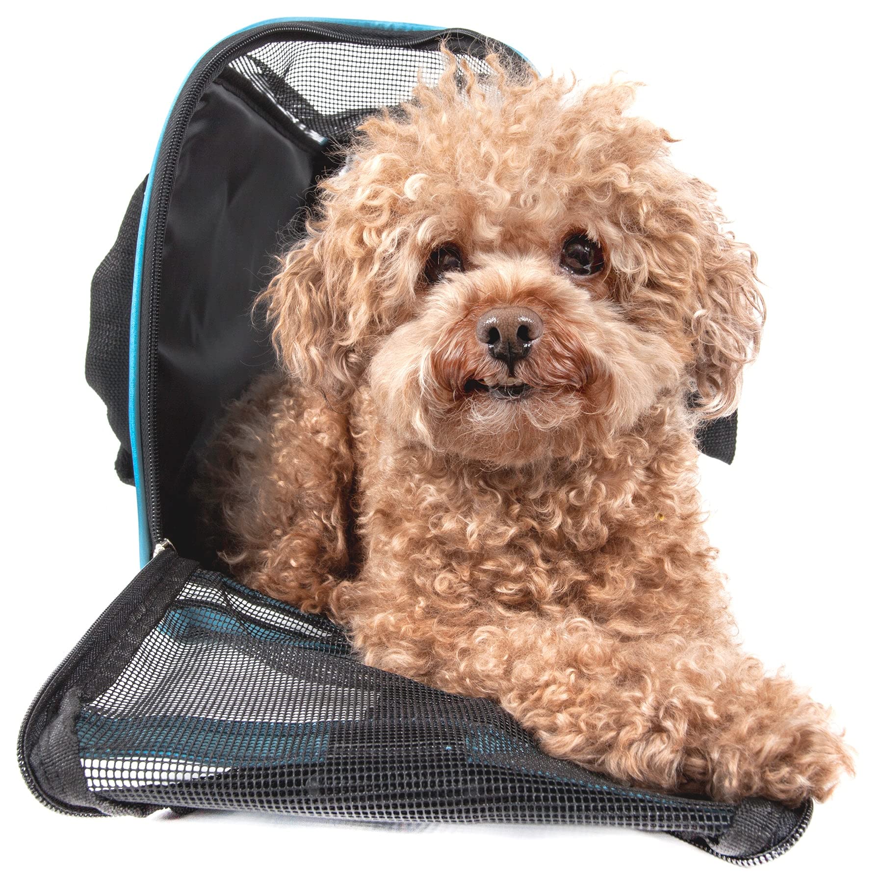 Airline Approved Altitude Force Sporty Zippered Fashion Pet Carrier(D0102H7LZDU.)