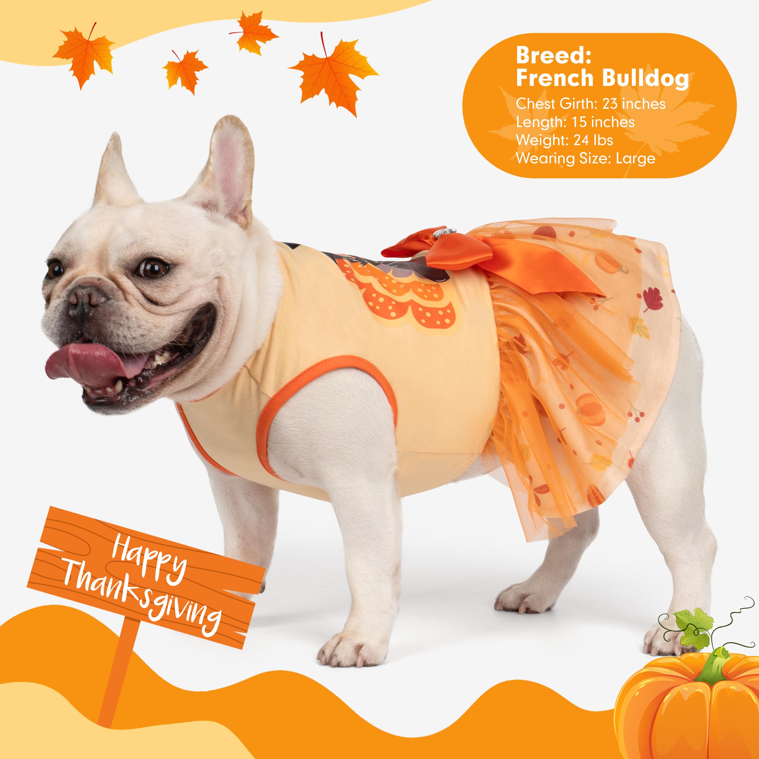 Cyeollo Thanksgiving Day Dog Dress - Turkey Small Puppy Clothes, Tulle Dresses, Pet Costumes, Holiday Outfit For Girls, Size M