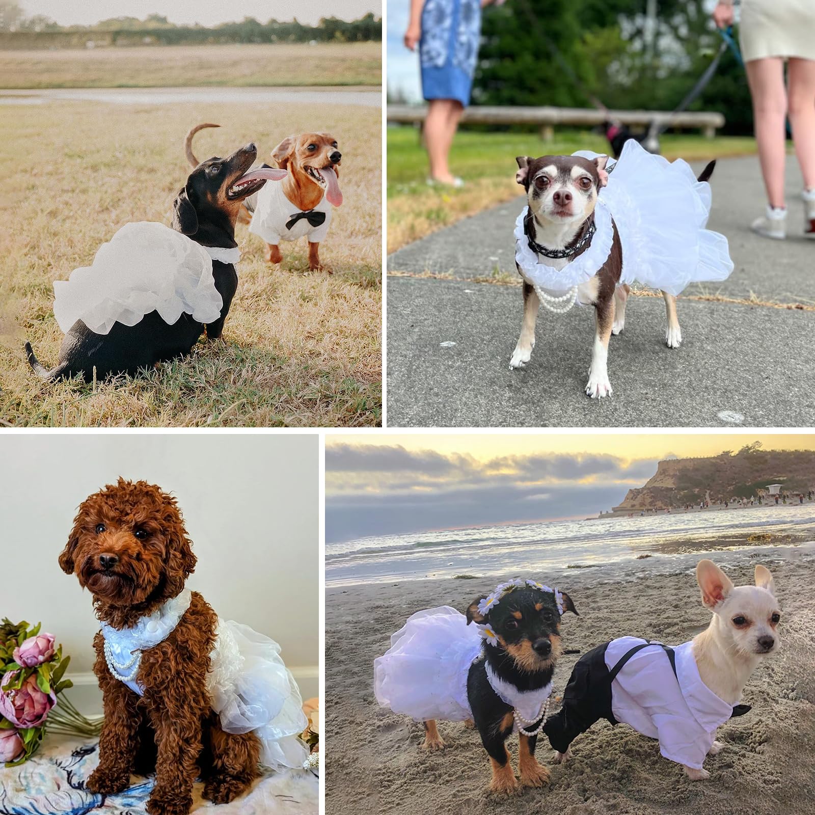 Shiaomin Dog Wedding Dress Bride Outfit With Pearl Necklace And Rose Pet Princess Dress Apparel For Puppy Dog Cat (Large)