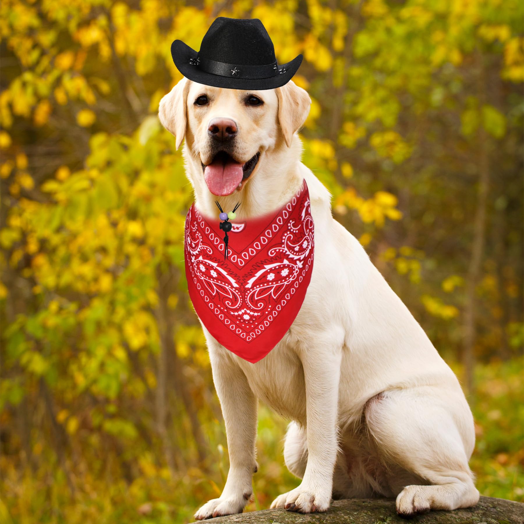Goyoswa Dog Halloween Costumes, Dog Cowboy Costume Halloween Pet Cowboy Hat Bandana Scarf For Small Medium Large Dogs Pets (Blac