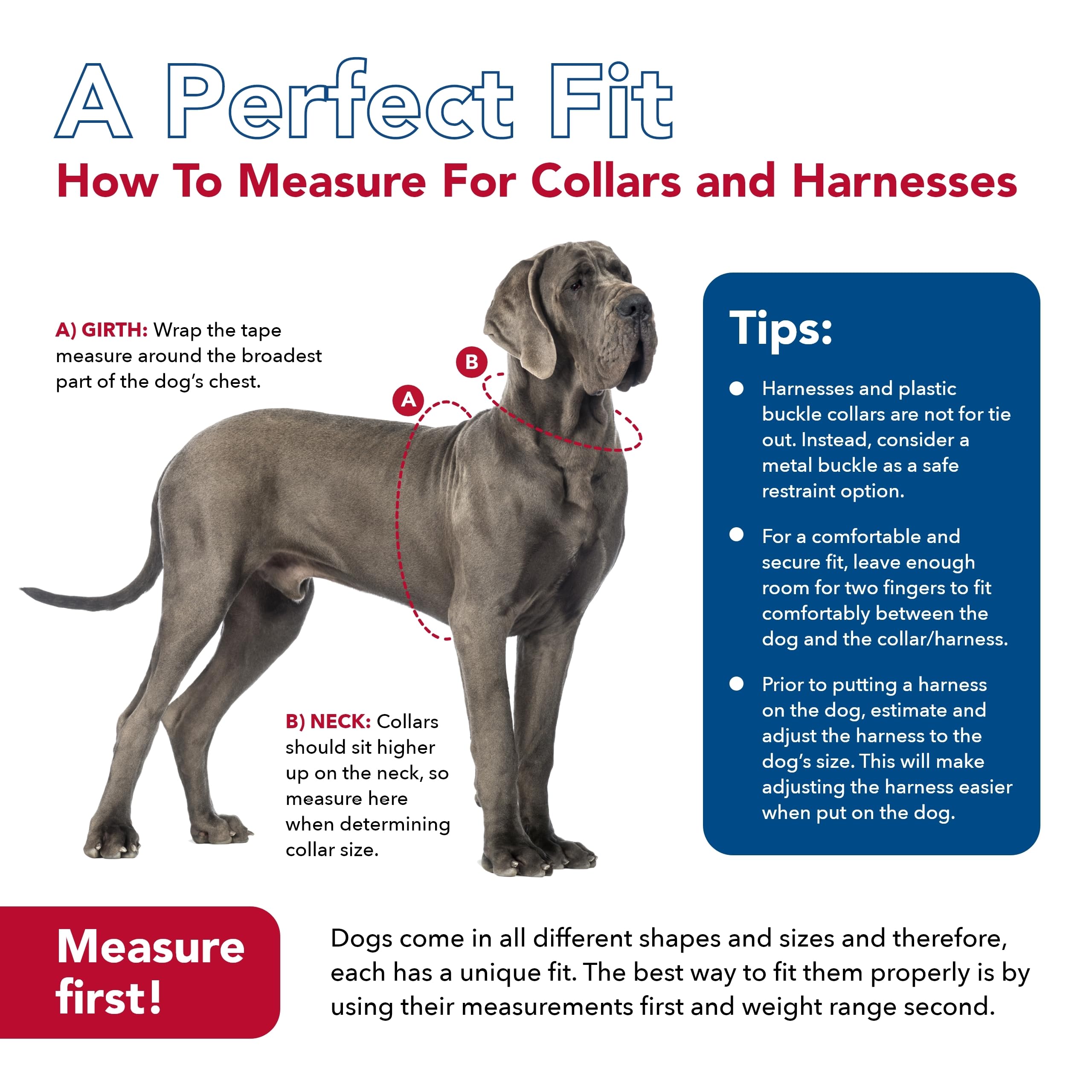 Coastal Pet Comfort Soft Reflective Wrap Adjustable Dog Harness - No-Pull Dog Harness For Small & Large Dogs - Blue Lagoon - 3/4' X 20'–29'