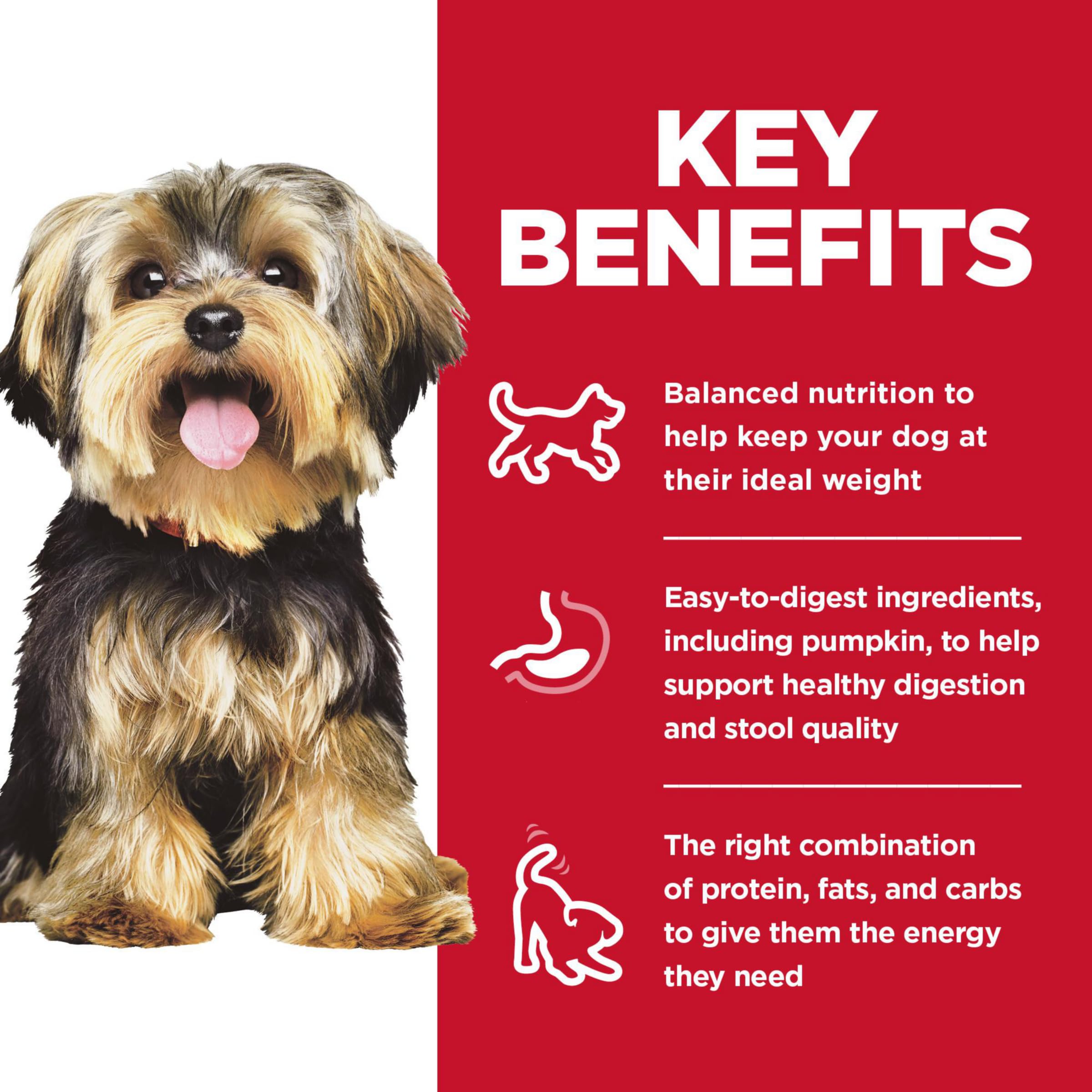 Hills Science Diet Adult Small Paws Chicken & Barley Entree Canned Dog Food, 5.8 oz., Case of 24