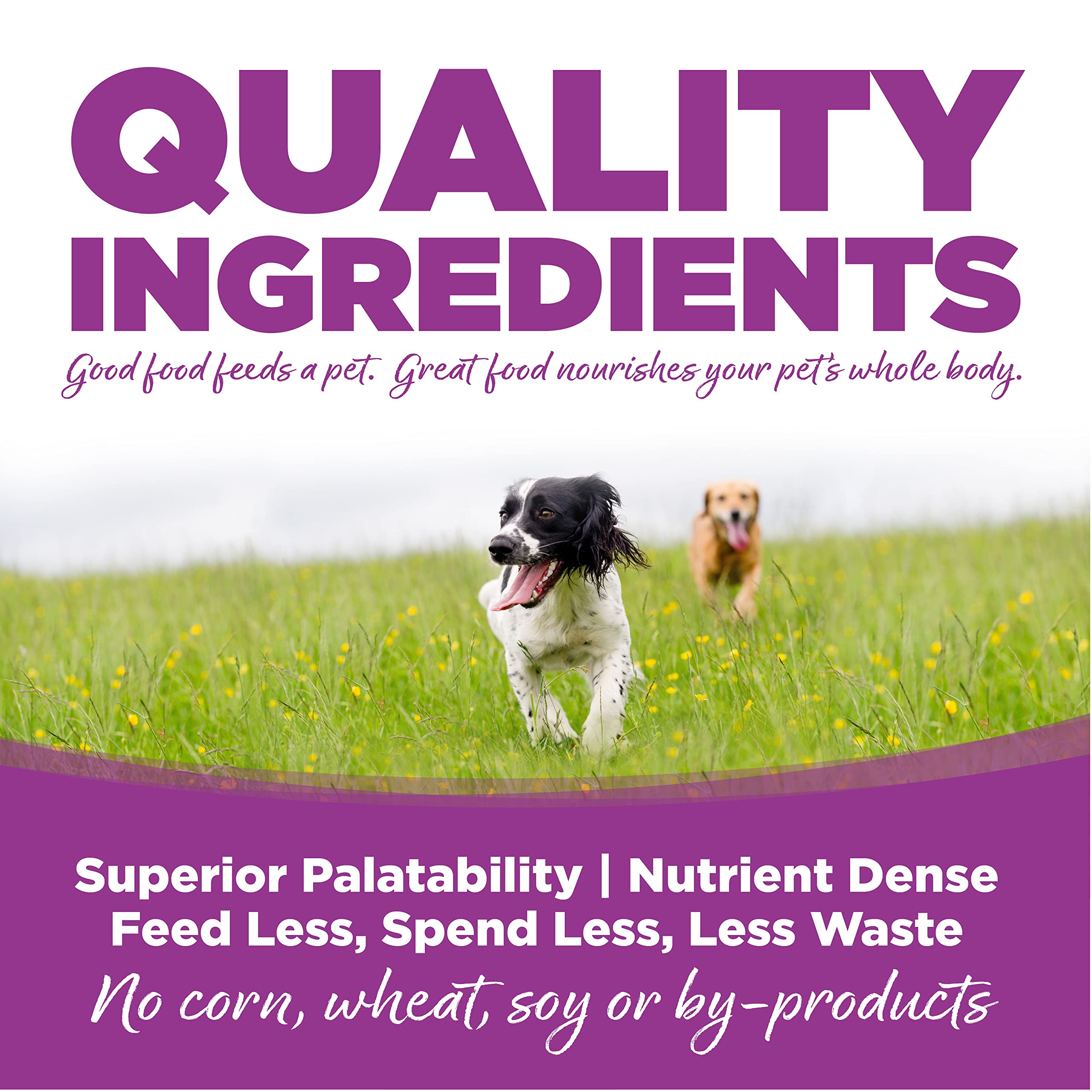 NutriSource Puppy Food for Large Breeds, Chicken and Rice, 26LB