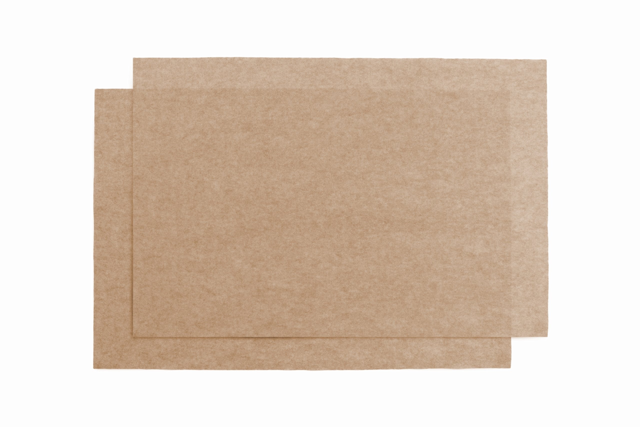 Carolina Custom Cages Reptile Carpet, Sandstone 18 x 48, Two Sheets