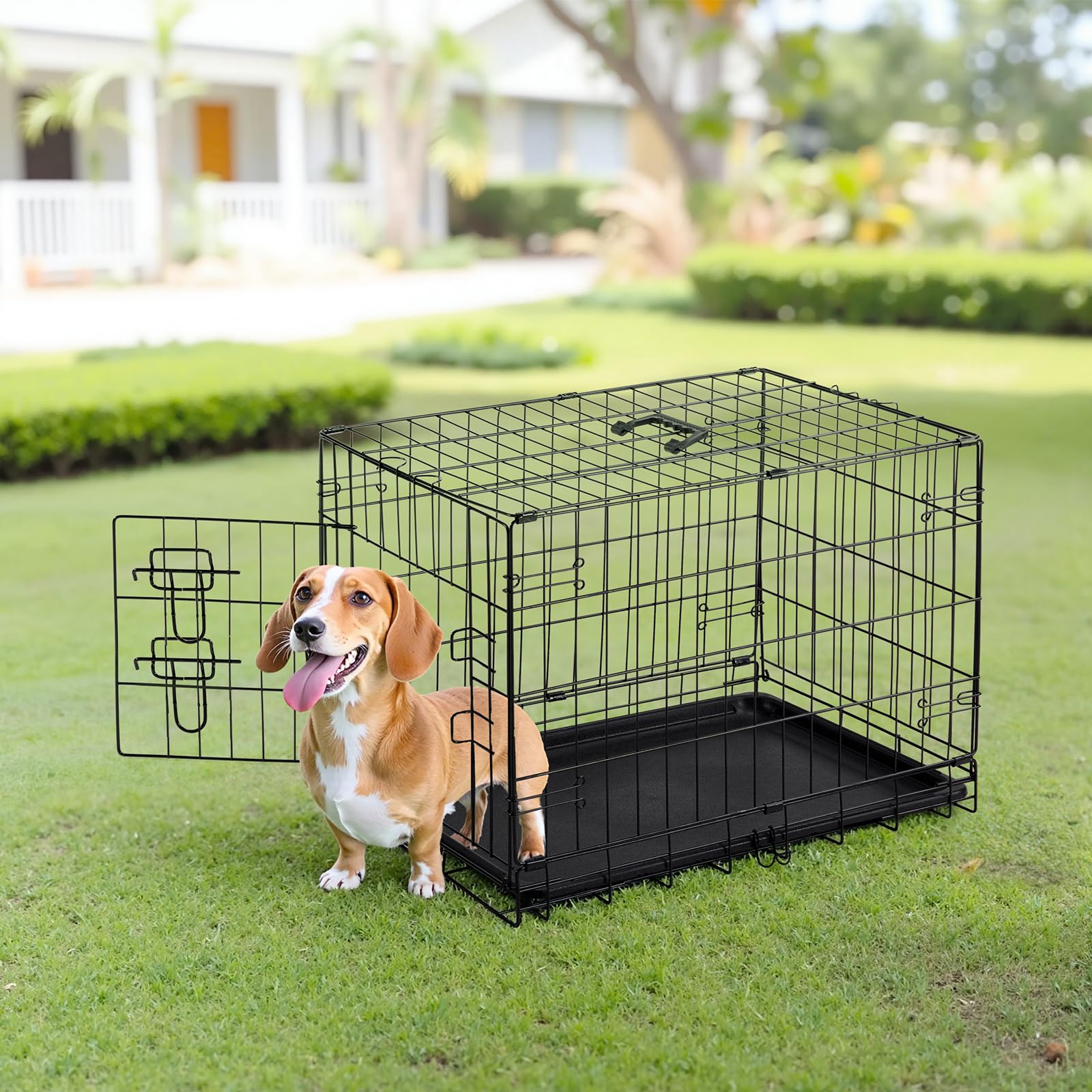 Sweetcrispy Metal Dog Crate, 30" Single Door Pet Kennel, Foldable, Black, Removable Tray, Ideal for Small Dogs & Travel