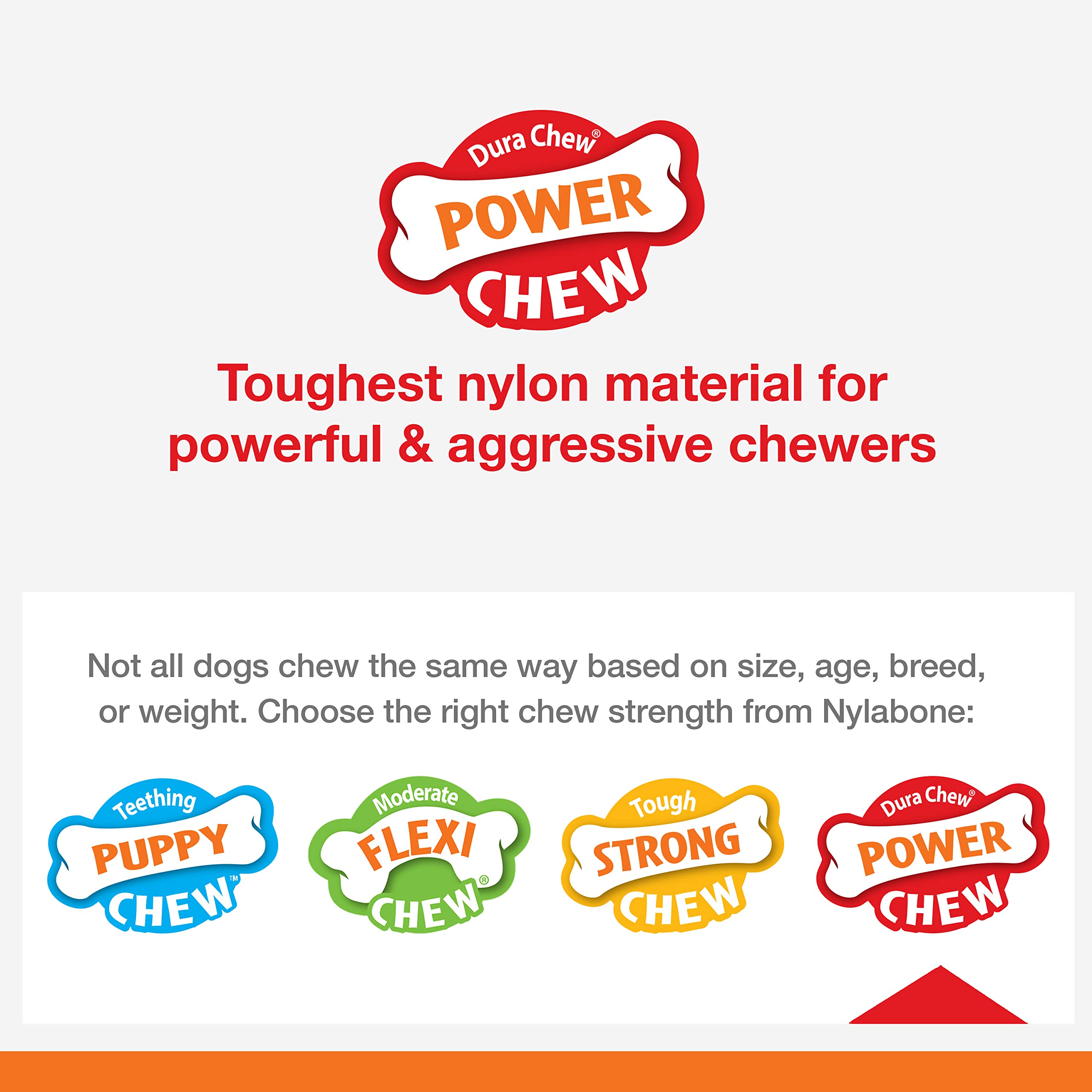 Nylabone Basted Blast Textured Bone Power Chew Toy For Dogs, Dog Toys For Aggressive Chewers, Bacon & Steak Flavor, Medium - Up To 35 Lbs, 1 Count