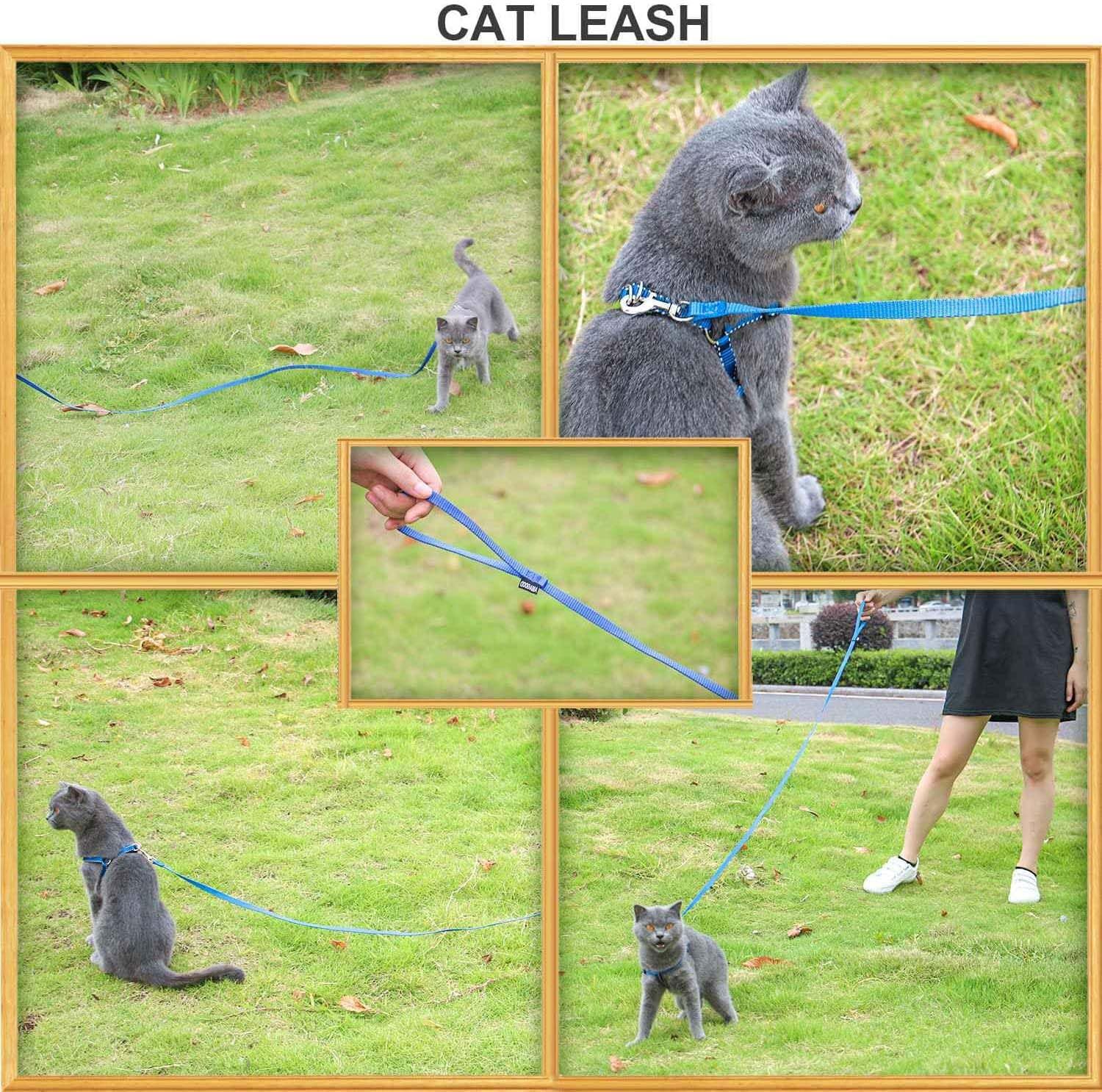 Amagood 6 Ft Puppy/ Dog Leash, Strong And Durable Traditional Style Leash With Easy To Use Collar Hook, Great For Small, Medium