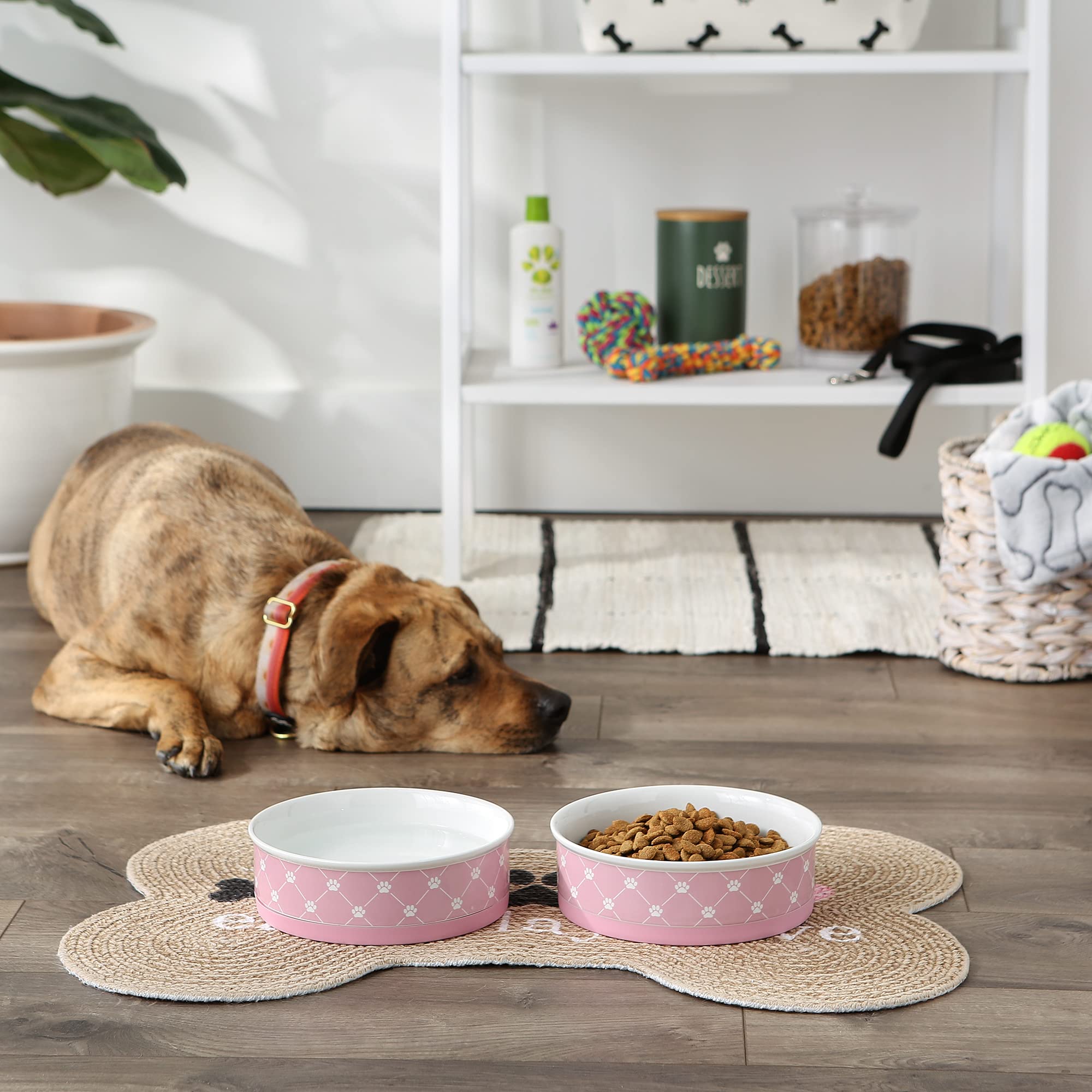 Bone Dry Trellis Paw Print Pet Bowl Set Microwave & Dishwasher Safe, Non-Slip Silicone Bottom for Less Mess, Large 7.5x2.4, Bubb