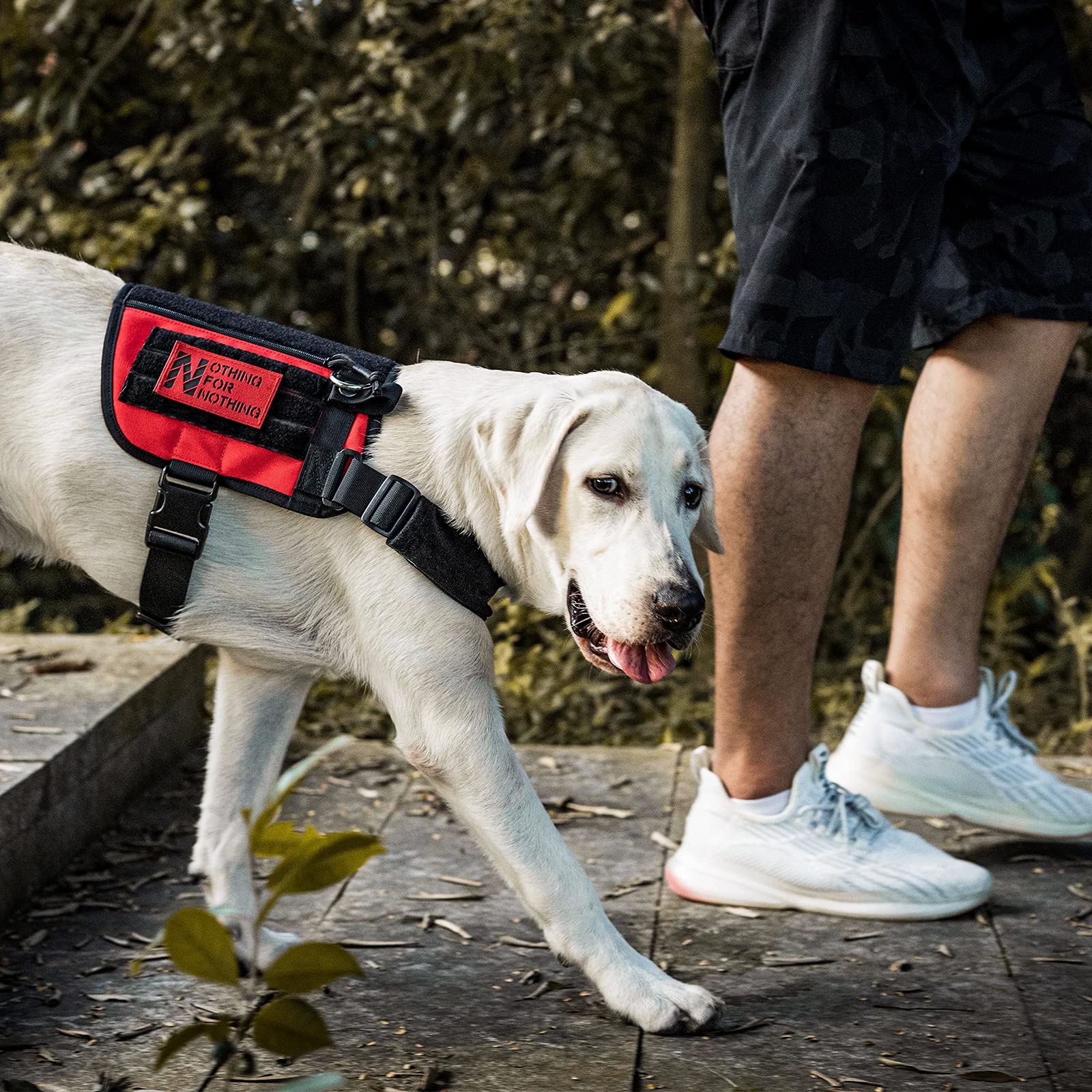 OneTigris Service Dog Vest, Tactical Dog Harness UTX Quick-Release Buckle, Removable Neck Strap Compatible with Assistance Harne