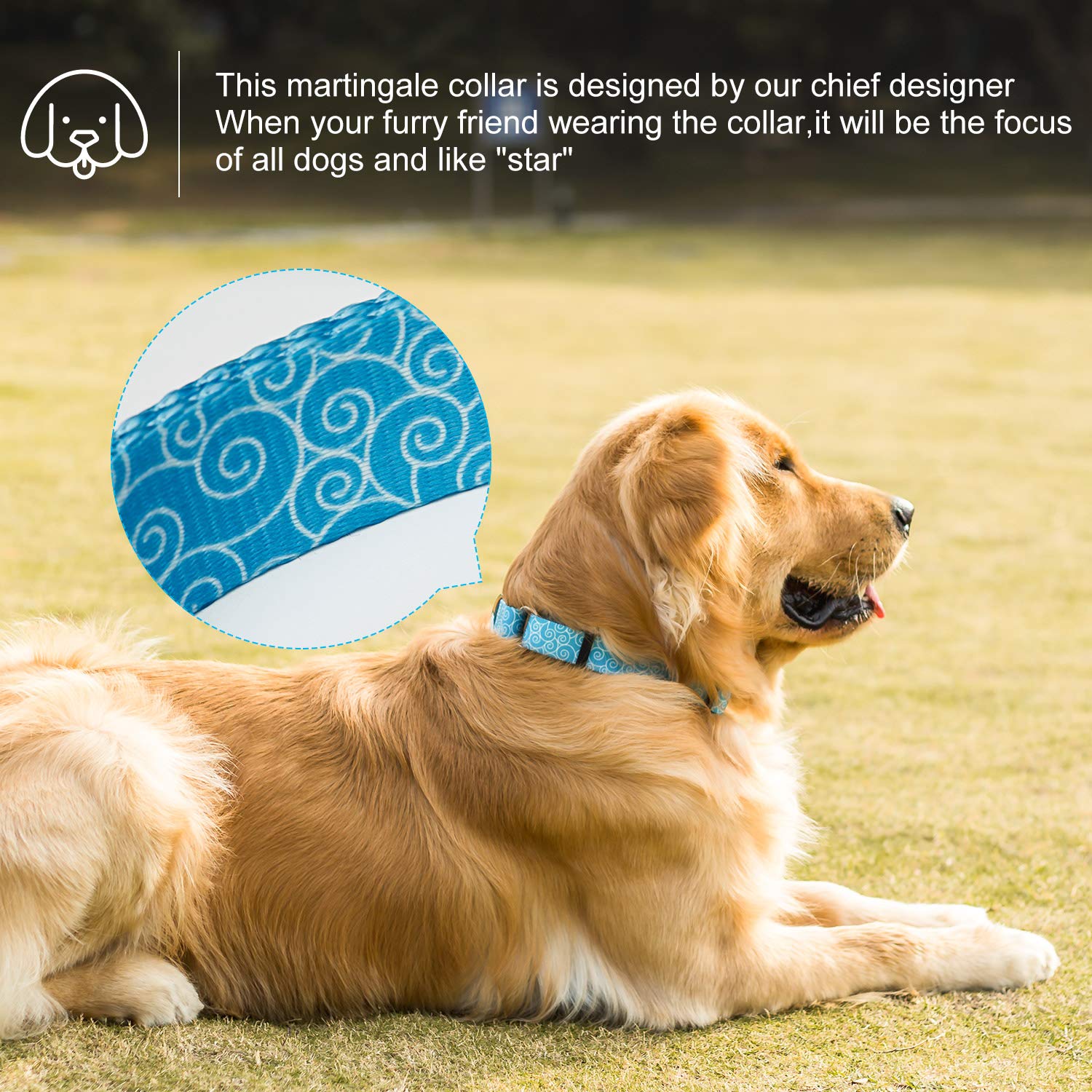 Dazzber Martingale Collar Nylon Dog Collar No Pull Pet Collar Heavy Duty For Medium And Large Dogs, Adjustable 14 Inch - 21 Inch, Sky Blue