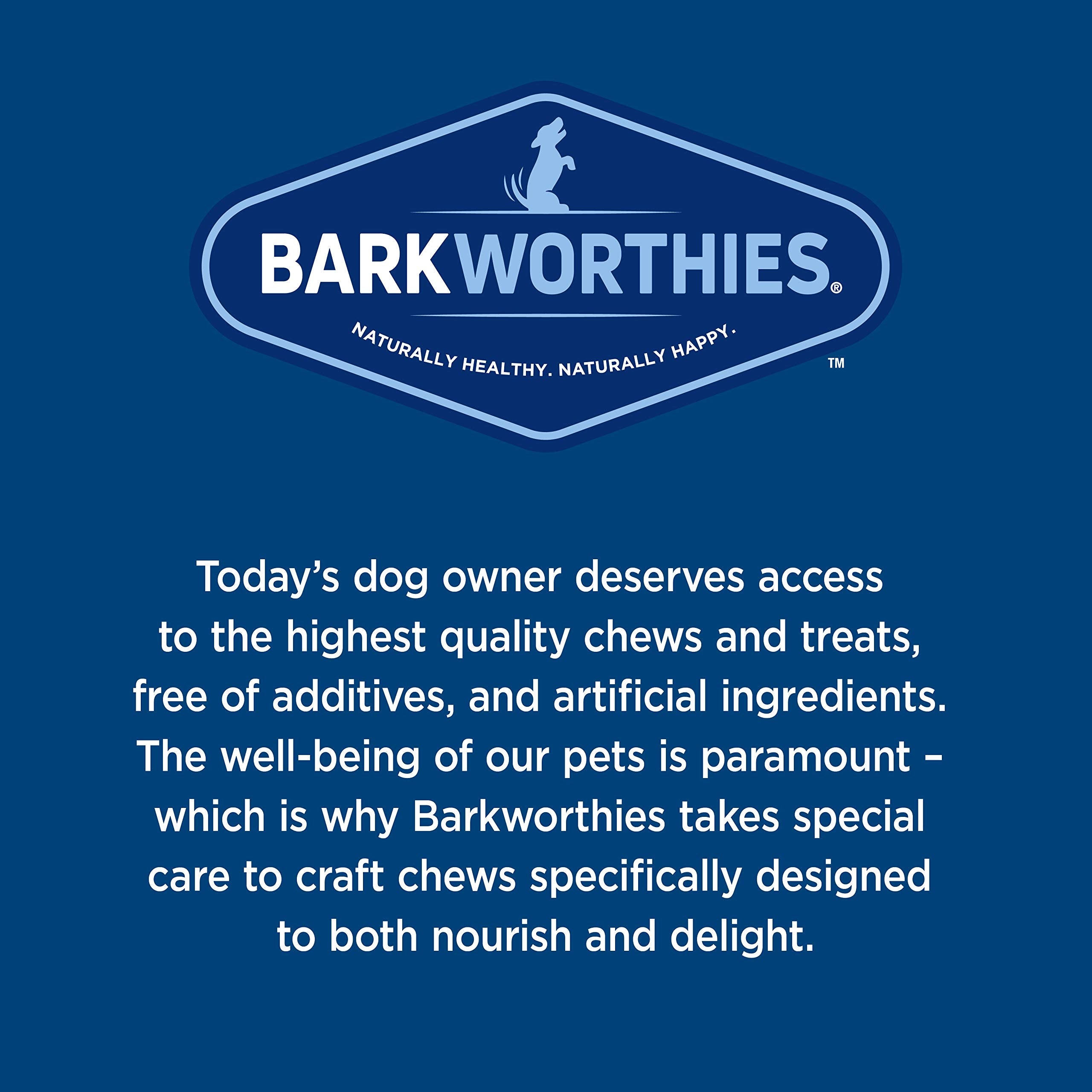 Barkworthies Lamb Lung Chips - 12 oz (Pack of 1) - All-Natural, Highly Digestible, Promotes Dental Health