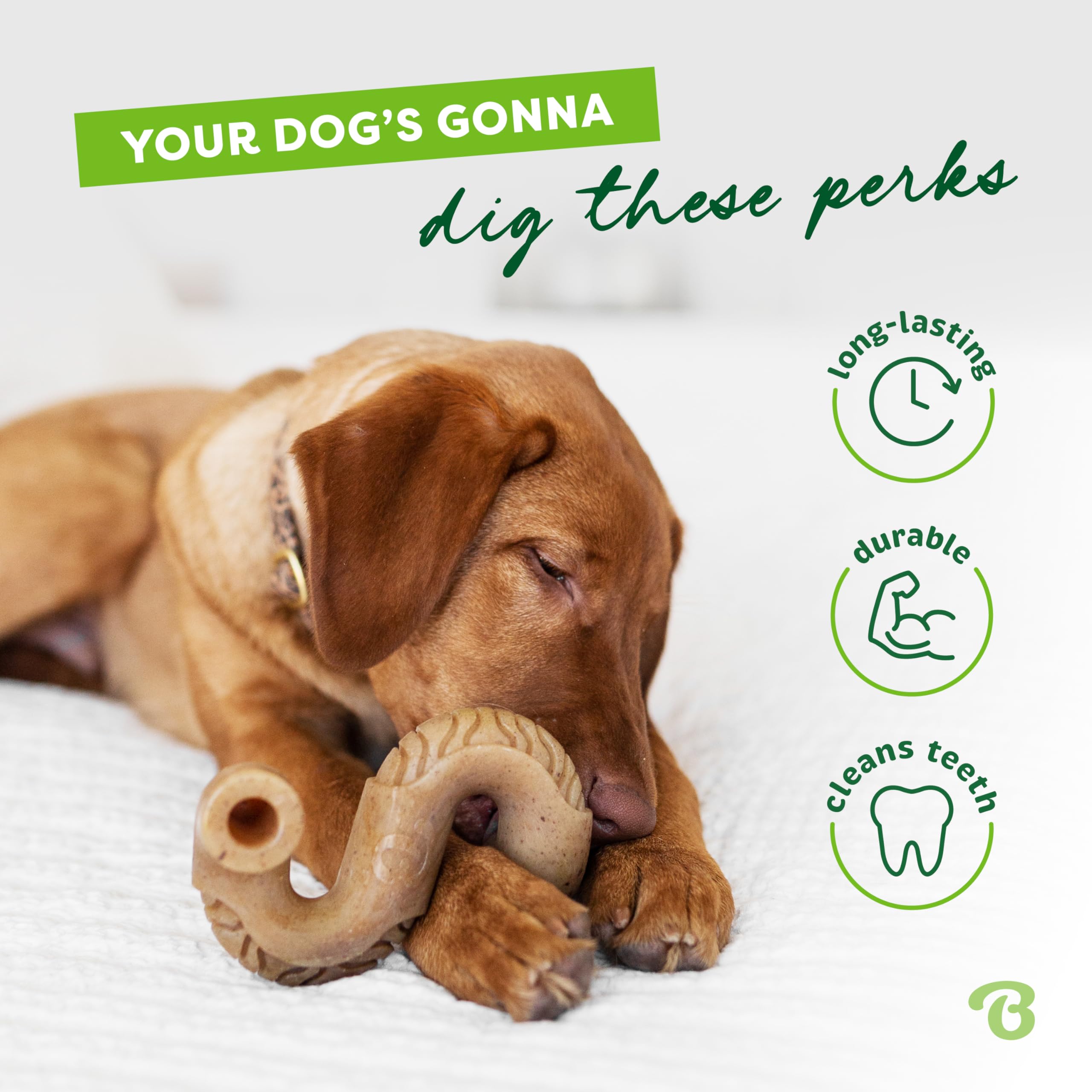 Benebone Tripe Bone Durable Dog Chew Toy For Aggressive Chewers, Real Tripe, Made In Usa, Giant